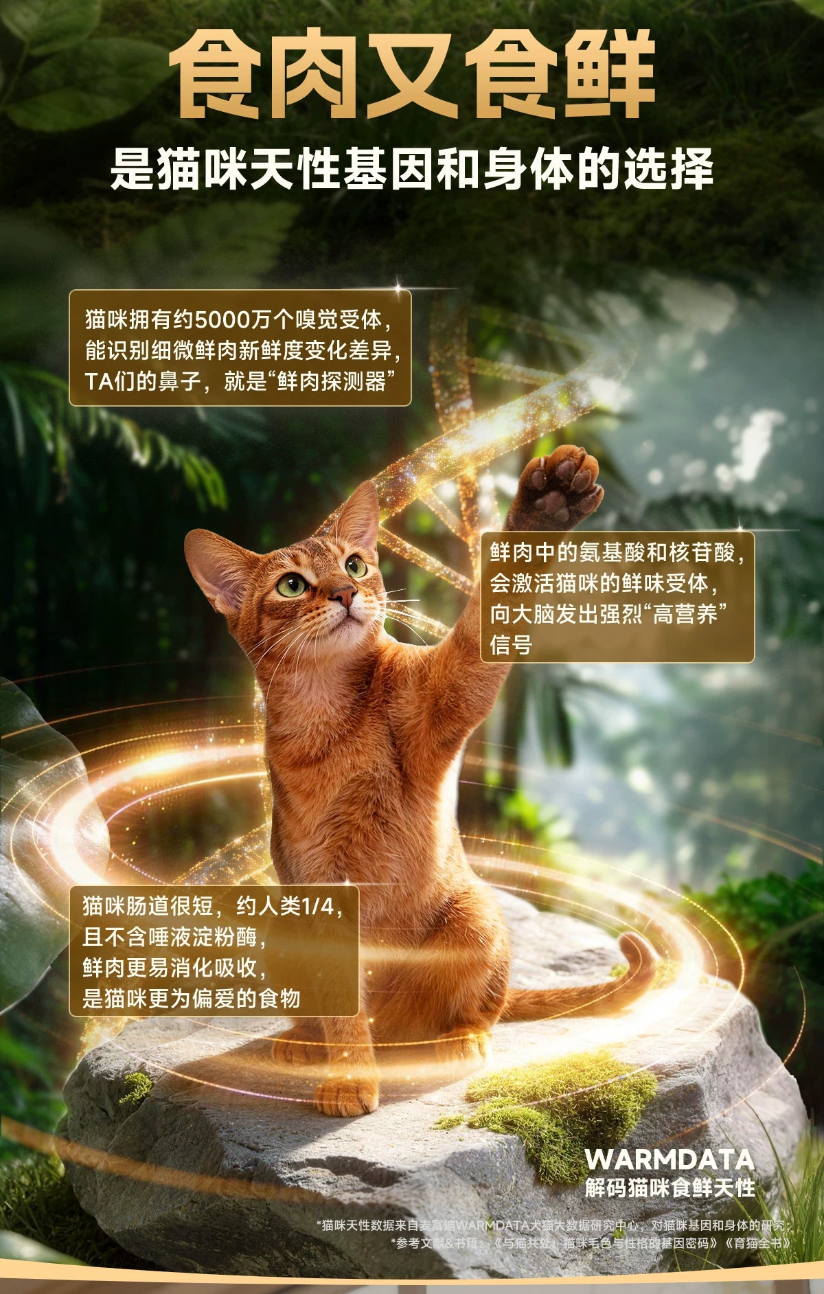 麦富迪猫粮全价原生鲜肉粮营养成猫幼猫通用猫粮1.5kg官方旗舰店&