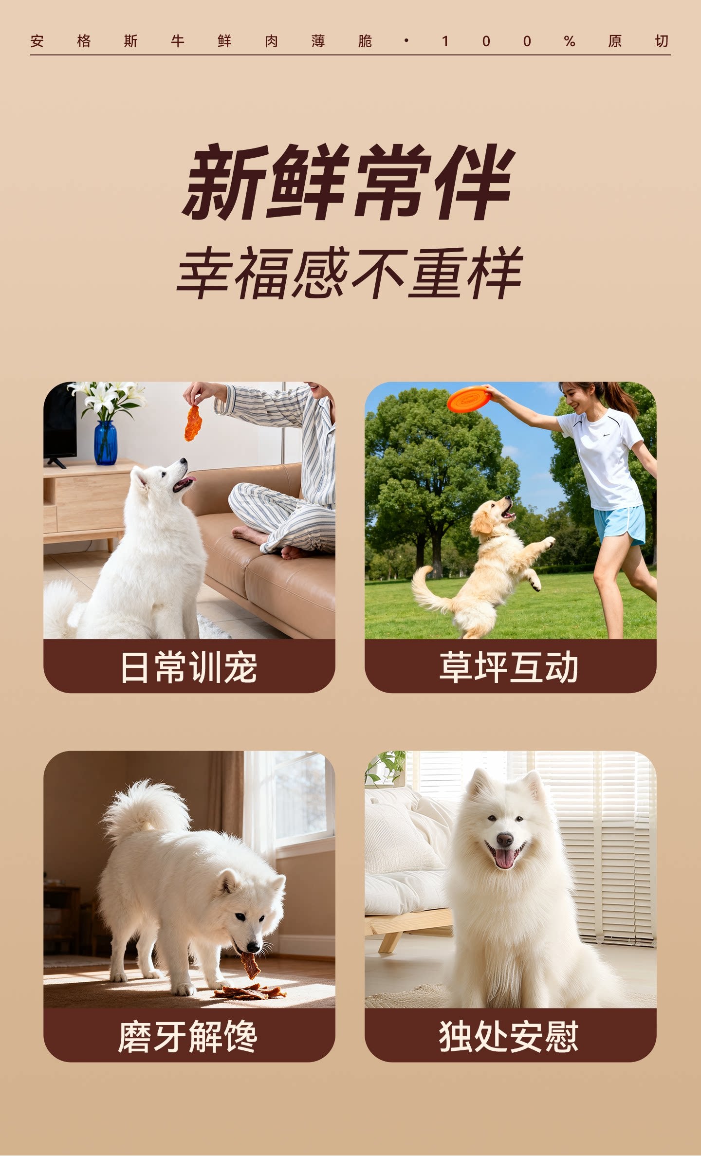 麦富迪狗狗零食鲜肉薄脆牛肉磨牙棒比熊泰迪小型犬牛肉干宠物零食
