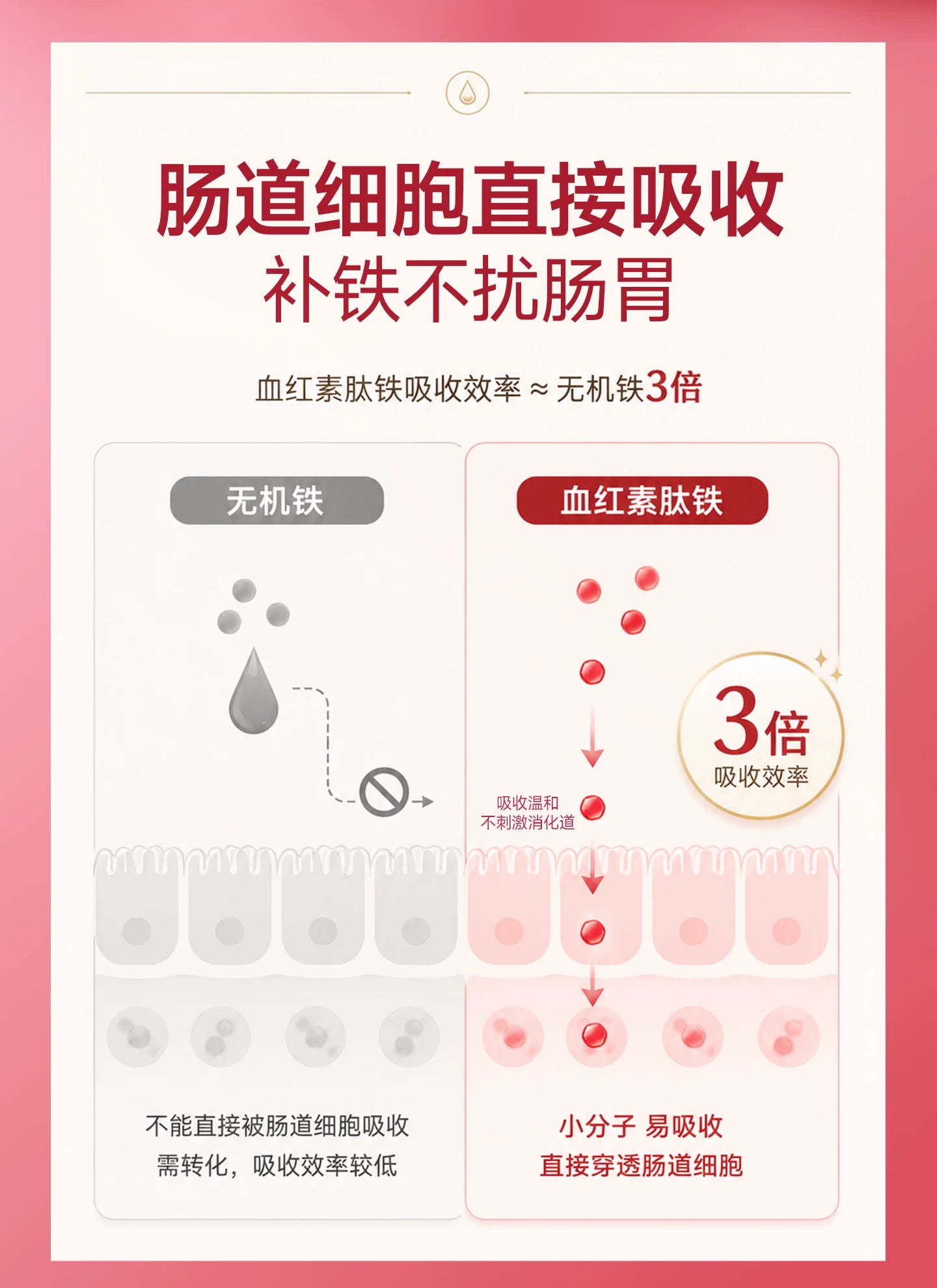 【新品】麦富迪猫零食元气养护主食冻干Fe铁营养补血成幼猫通用