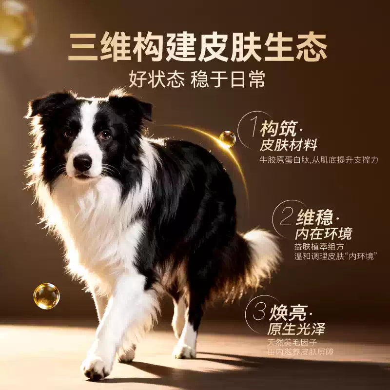 麦富迪狗粮barf霸弗闪亮滋养泰迪比熊柯基通用小型犬成犬幼犬粮