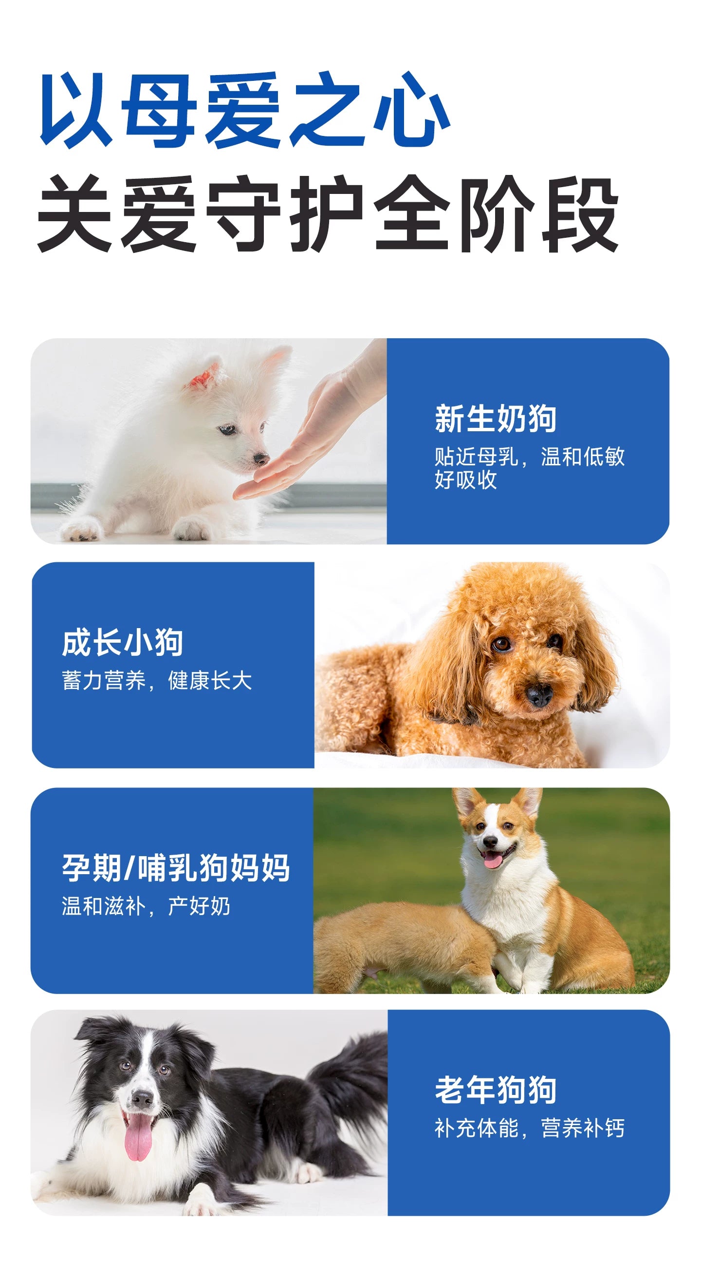 麦富迪狗狗零食宠物羊奶粉犬用哺乳期幼犬奶粉通用泰迪金毛营养品