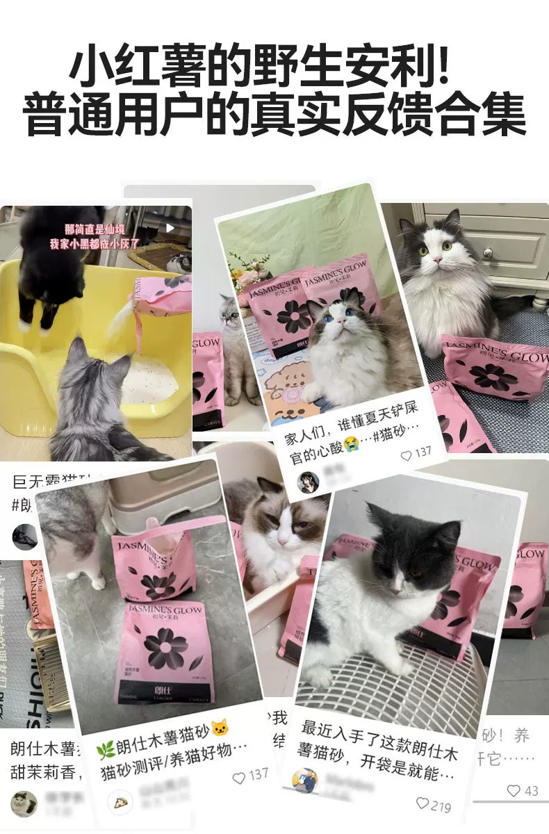 朗仕纯木薯猫砂除臭混合植物豆腐膨润土猫沙近无尘结团防臭不粘底