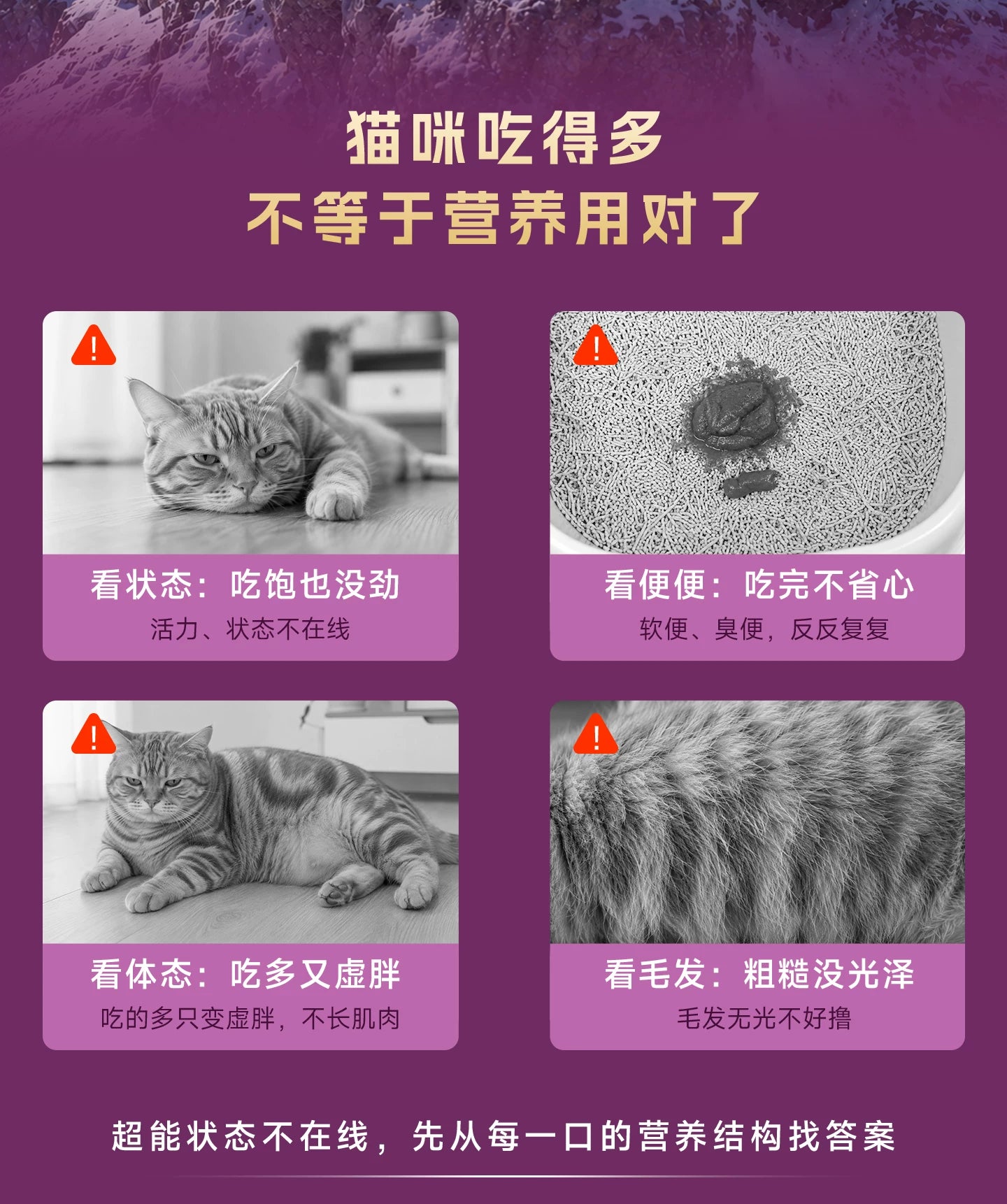 【新品】麦富迪猫粮超能餐冻干三拼营养全猫种三文鱼成猫幼猫粮