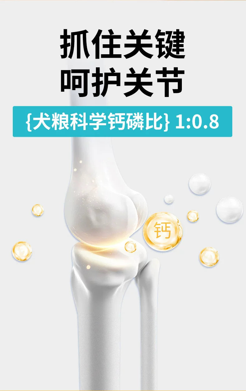 朗仕狗粮小型成犬粮500g双重靓毛配方雪纳瑞贵宾比熊通用型犬粮