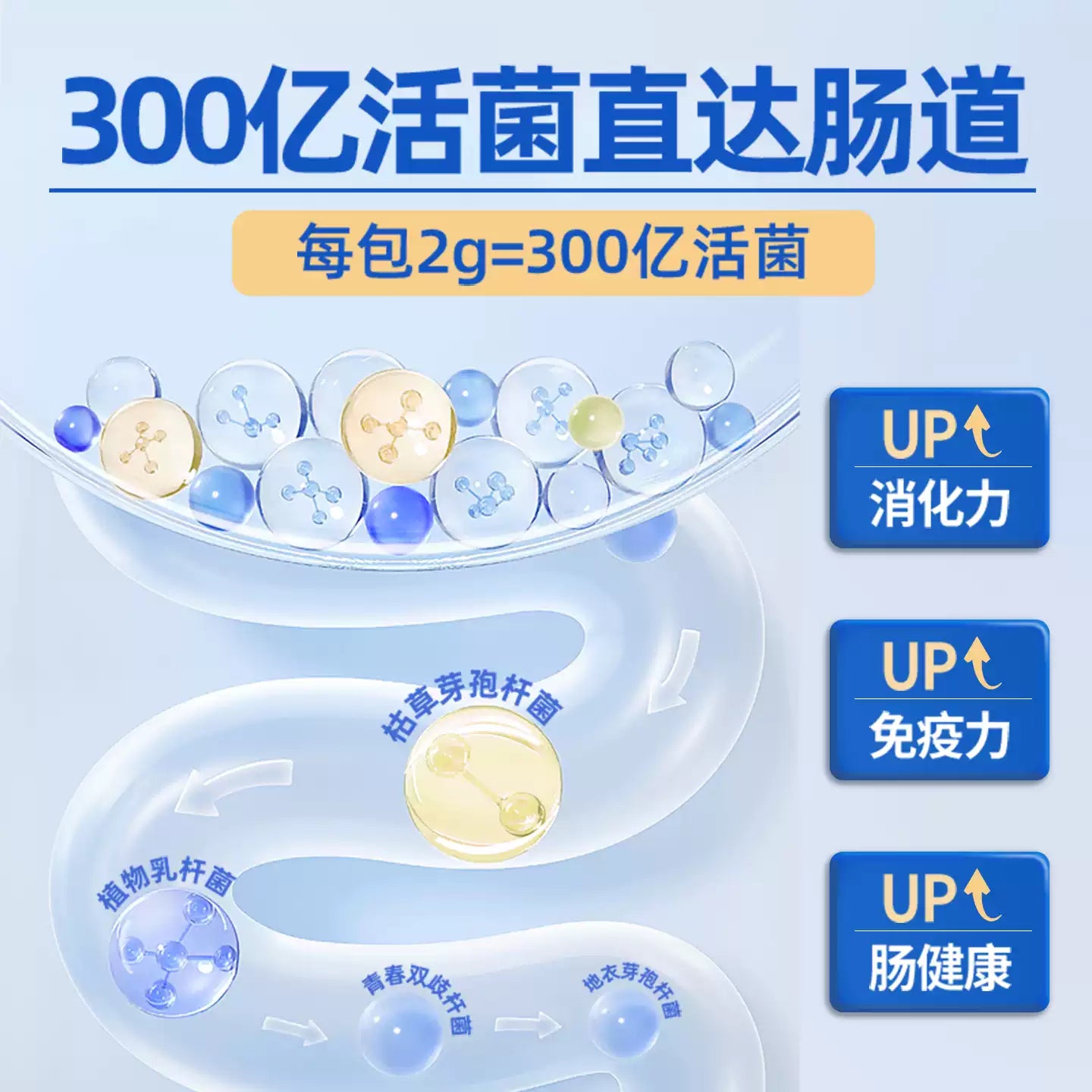麦富迪狗狗组方型益生菌宠物营养品补充剂肠胃保健泰迪金毛比熊