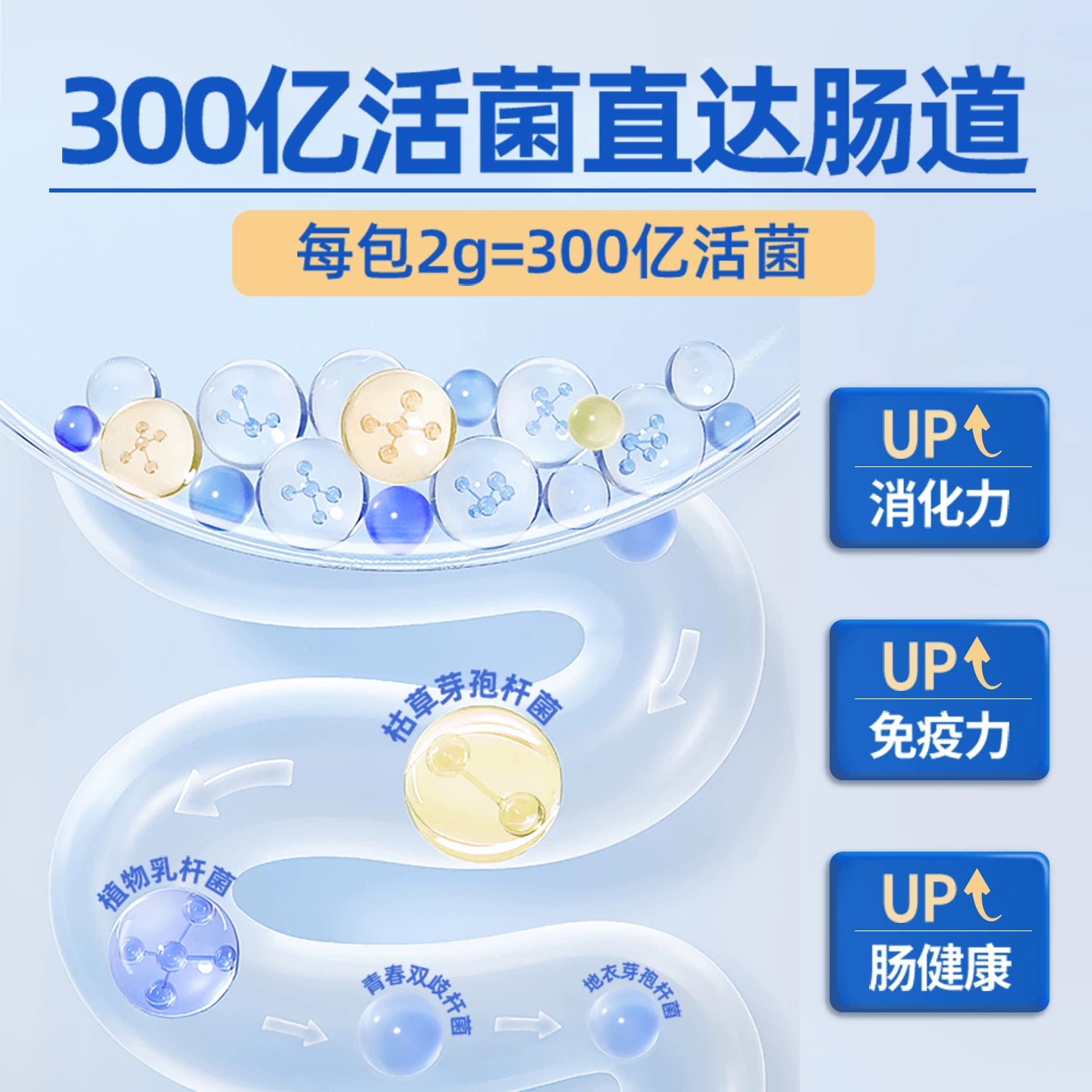 麦富迪狗狗组方型益生菌宠物营养品补充剂肠胃保健泰迪金毛比熊
