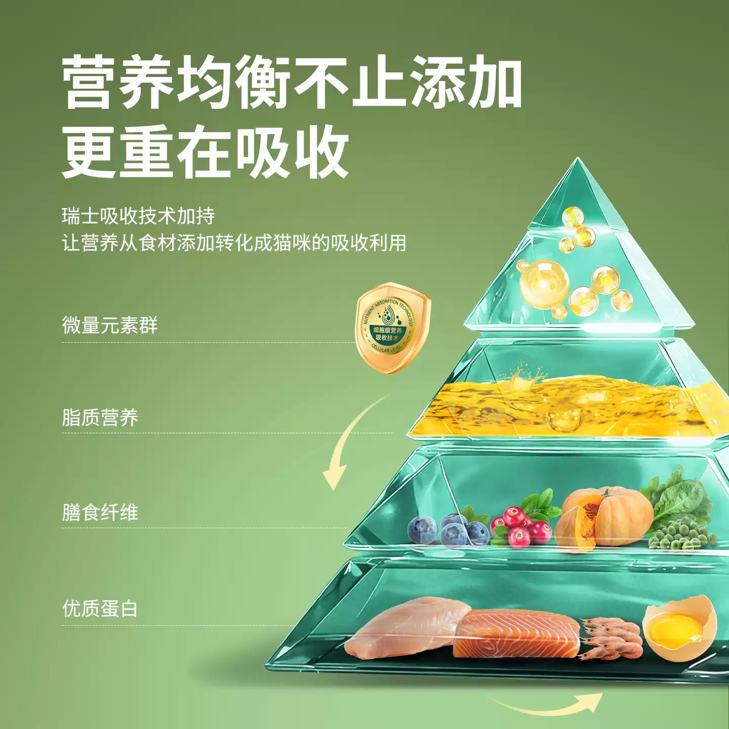 麦富迪营养森林猫粮成猫幼猫三文鱼鲜鸡肉冻干通用正品猫粮2kg