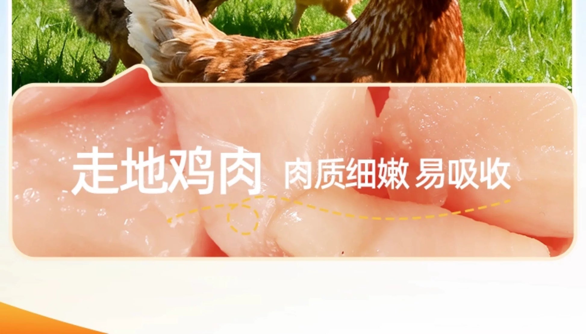 朗仕狗狗火腿肠训练宠物零食泰迪伴粮低盐小型犬幼犬猫香肠大礼包