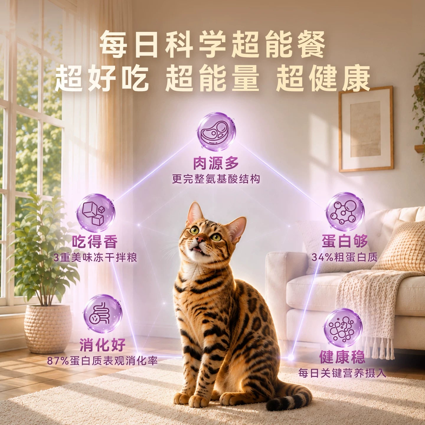 【新品】麦富迪猫粮超能餐冻干三拼营养全猫种三文鱼成猫幼猫粮