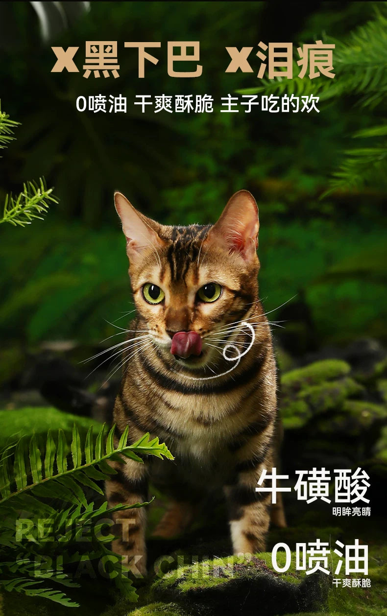 朗仕烘焙猫粮低温无谷成幼猫粮鲜肉鸡肉猫咪全价专用囤货装布偶猫