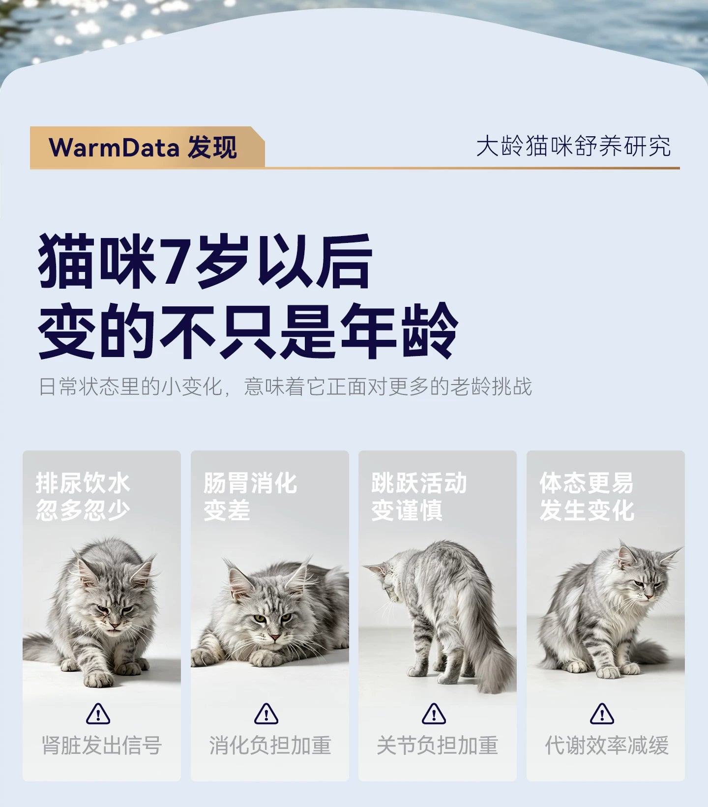 【新品】麦富迪barf霸弗猫粮7岁以上老年猫咪专用生骨肉营养猫粮
