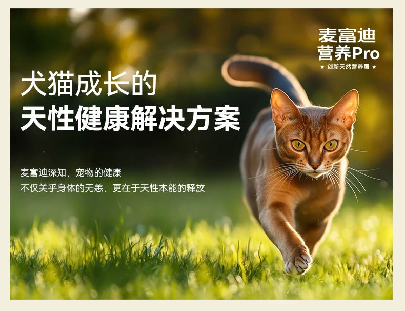 麦富迪猫湿粮营养pro羽衣甘蓝肉包补营养补水成幼猫条猫零食10包