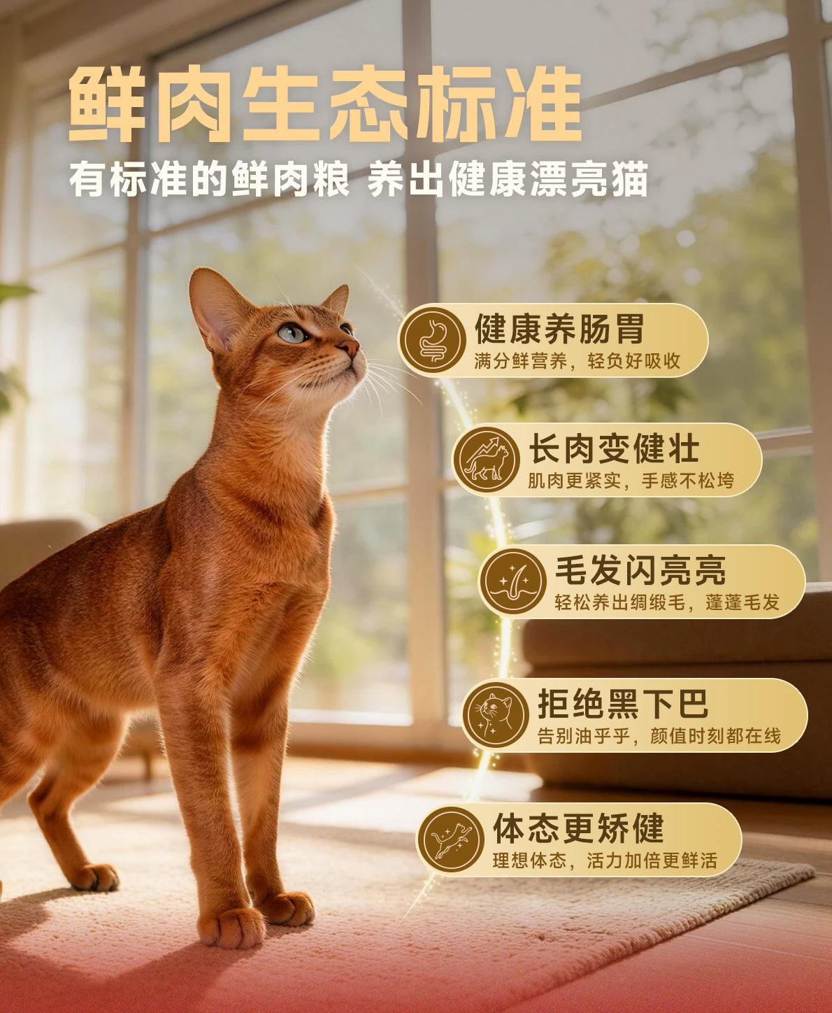 麦富迪猫粮全价原生鲜肉粮营养成猫幼猫通用猫粮1.5kg官方旗舰店