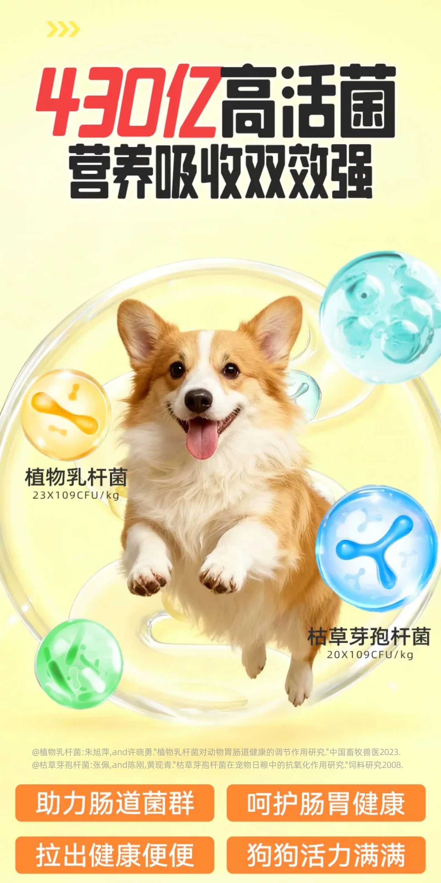 朗仕烘焙狗粮小型犬专用成犬幼犬粮鲜鸭肉梨冻干泰迪比熊博美柯基