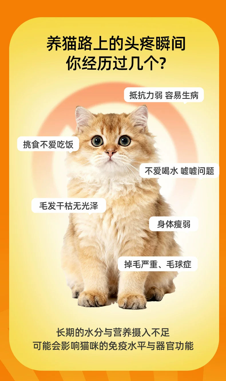 朗仕猫条猫零食幼猫营养猫咪肉泥牛磺酸补水猫罐头湿粮罐头100支
