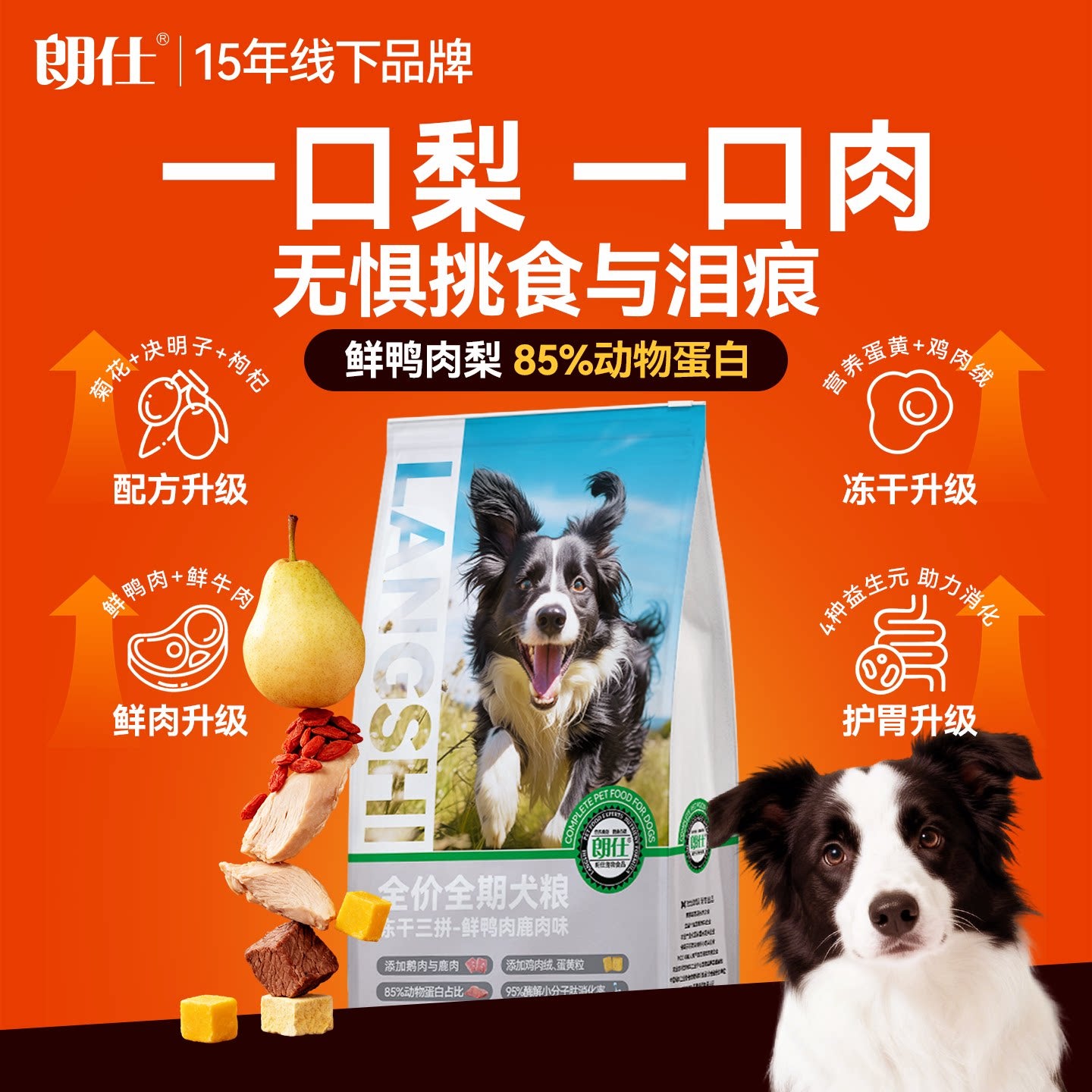 朗仕狗粮冻干多拼犬粮小型犬大型犬幼犬粮农村土狗通用大规格10kg