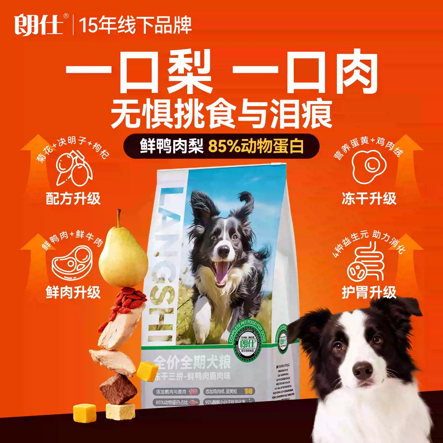 朗仕狗粮冻干多拼犬粮小型犬大型犬幼犬粮农村土狗通用大规格10kg