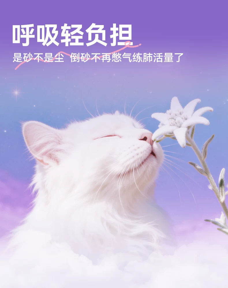 朗仕纯木薯猫砂囤货装月光初雪除臭混合结团植物近无尘防臭不粘底