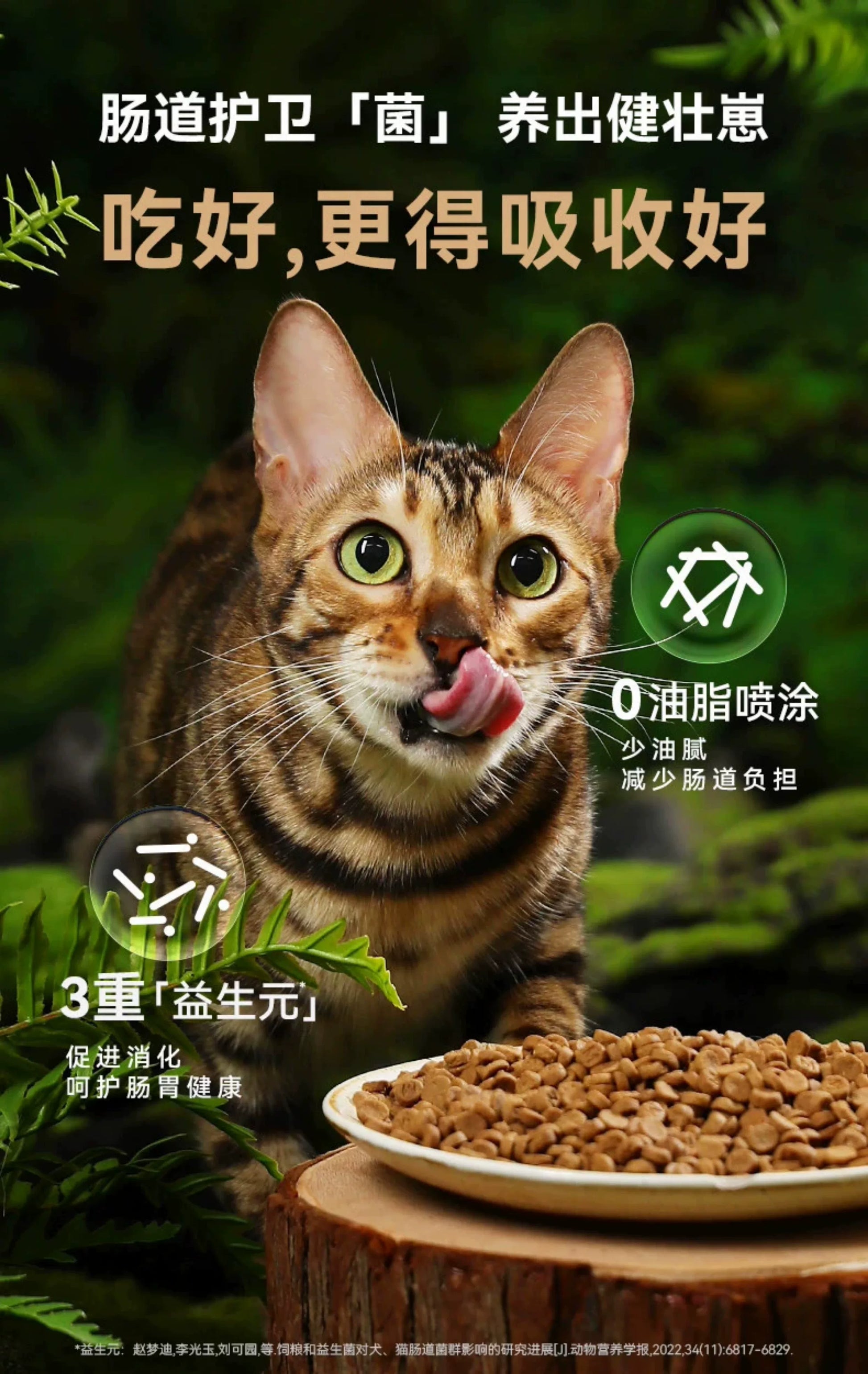 朗仕烘焙猫粮鲜肉无谷全价营养鲜乳鸽火鸡肉幼猫成猫粮通用试吃装