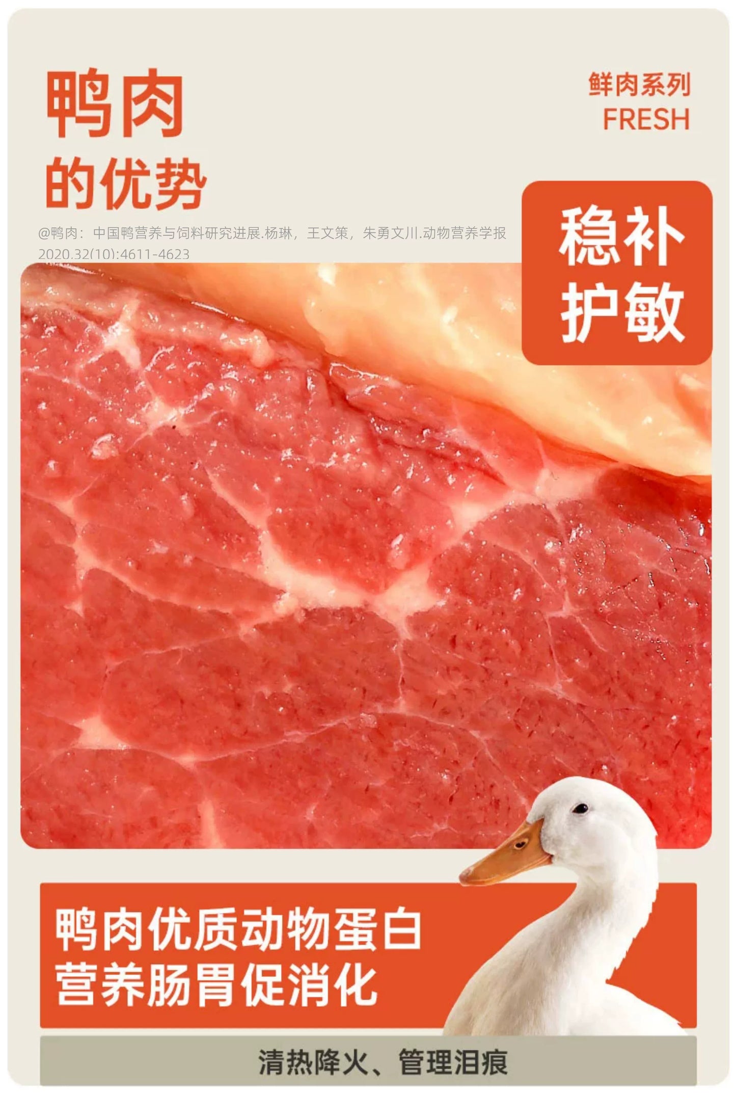 朗仕幼犬狗粮500g幼犬粮1斤装小泰迪拉布拉多金毛1-12个月