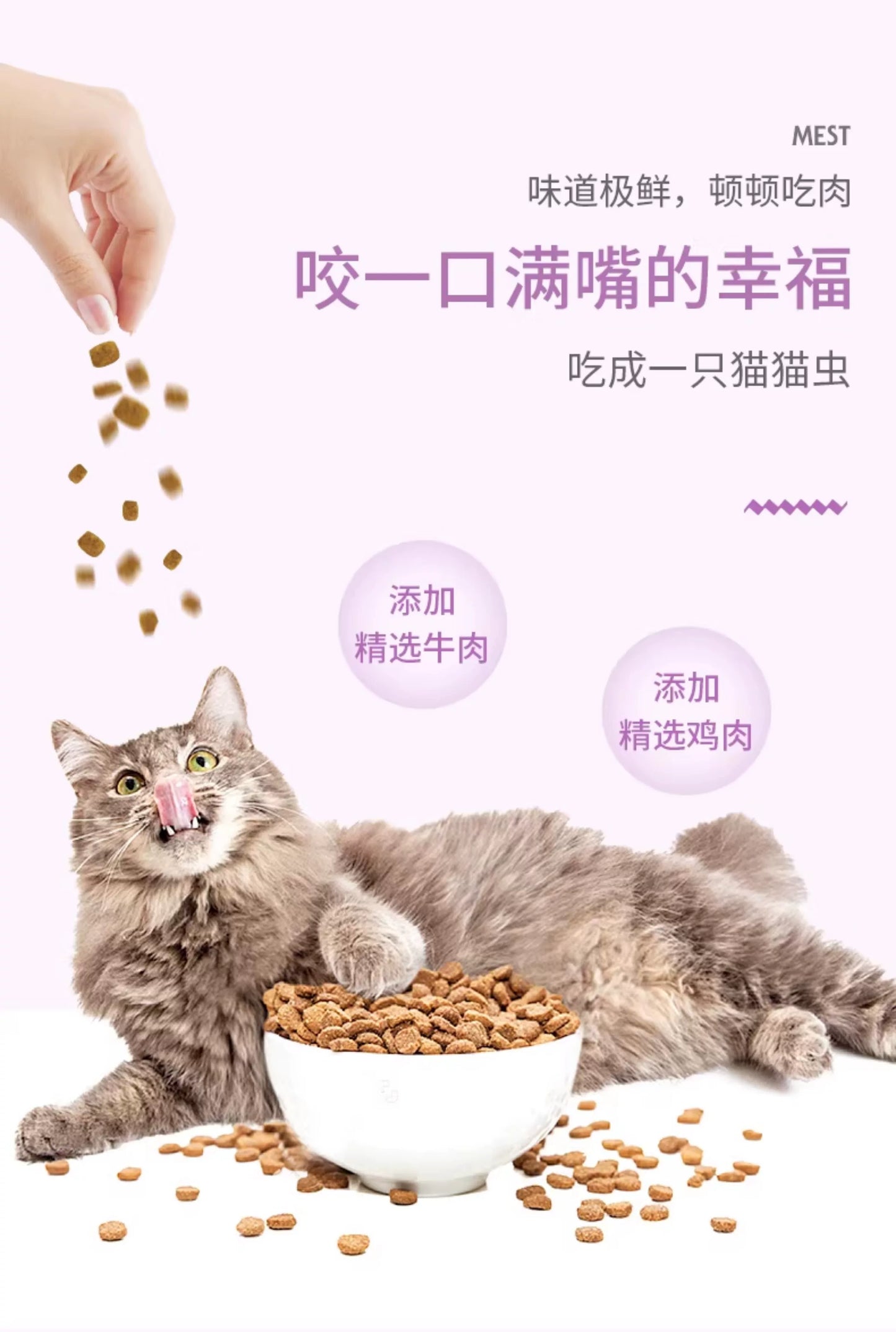 朗仕猫粮幼猫成猫粮1.5kg英短蓝猫美短猫饭试吃通用型无谷粮3斤
