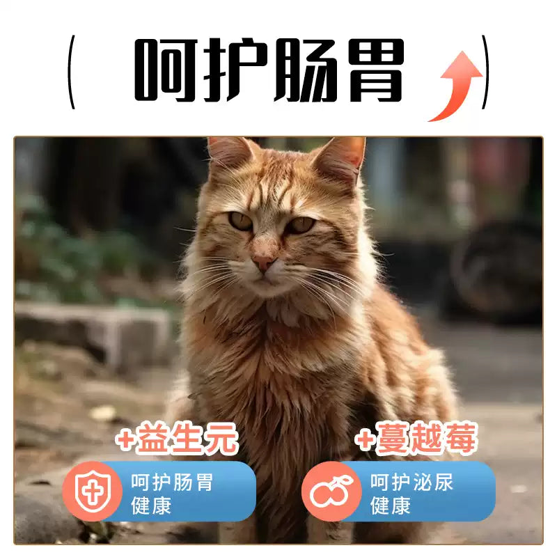 朗仕猫粮成猫试吃小袋装喂流浪猫田园爱心救助粮成猫幼猫土猫便携