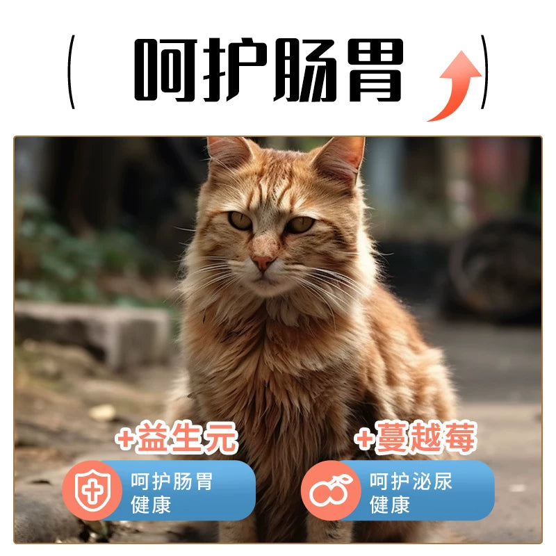 朗仕猫粮成猫试吃小袋装喂流浪猫田园爱心救助粮成猫幼猫土猫便携