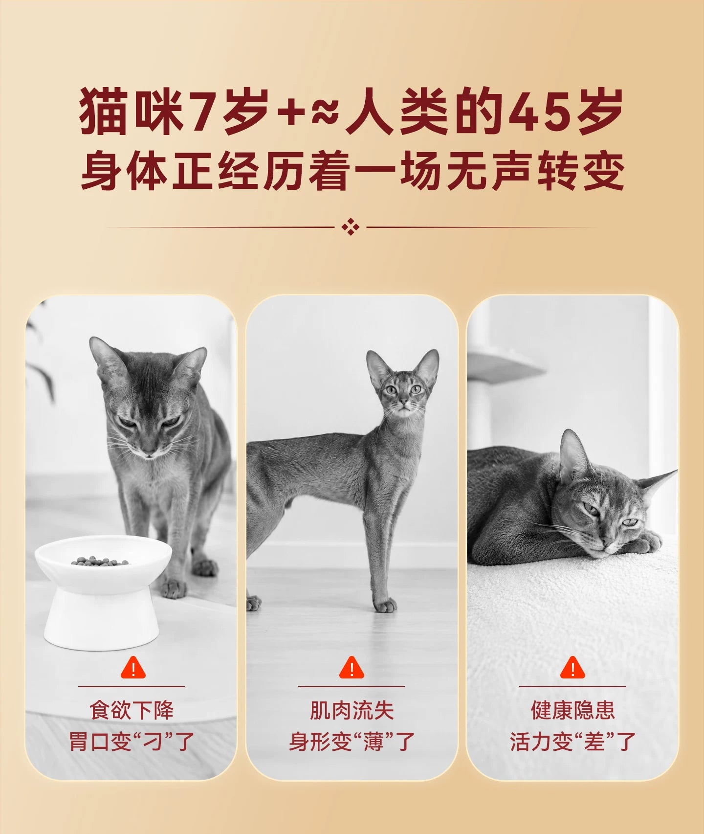 【新品】麦富迪猫粮7岁以上老年猫咪专用原生鲜鸡肉低磷猫粮1.5kg