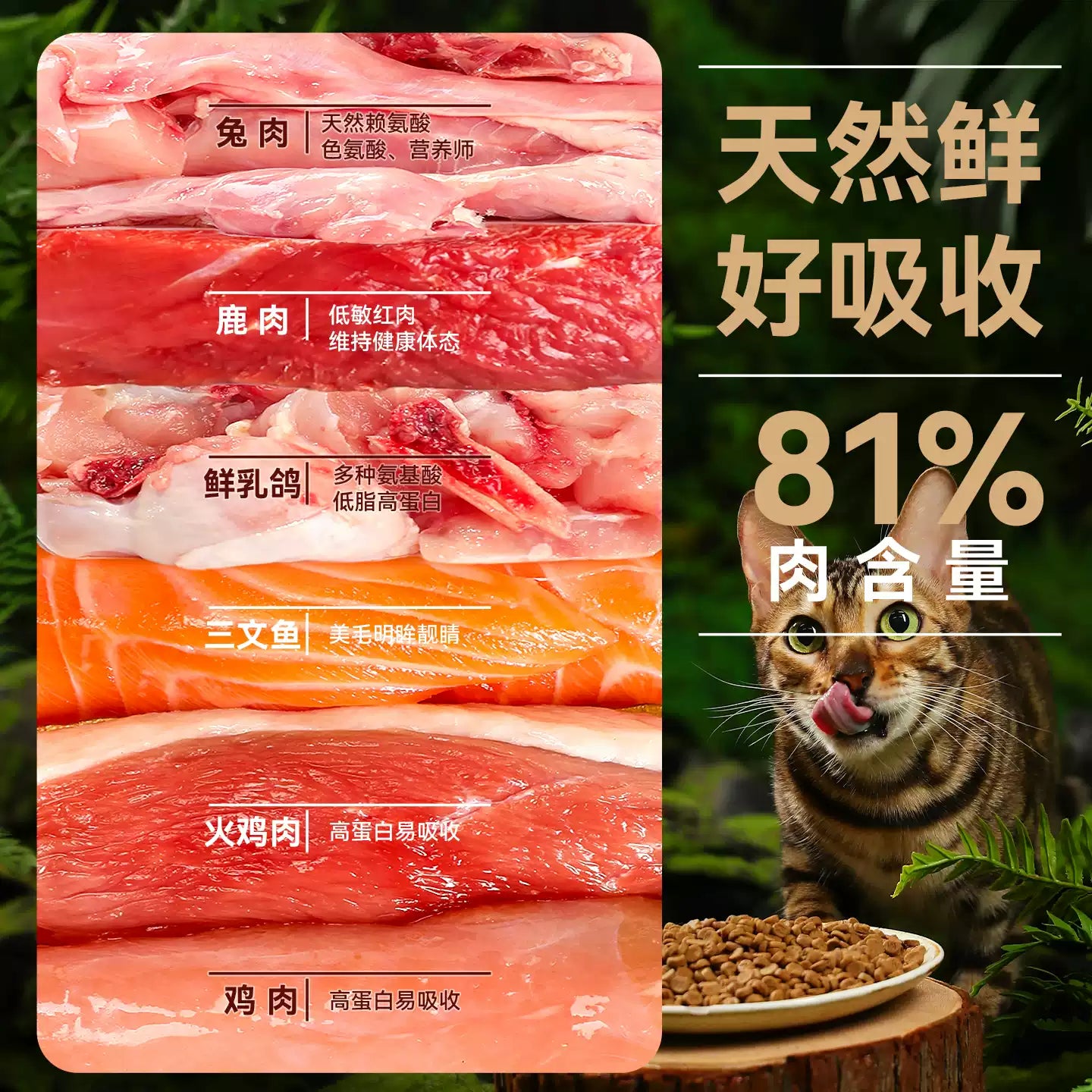 朗仕烘焙猫粮低温无谷成幼猫粮鲜肉鸡肉猫咪全价专用囤货装布偶猫