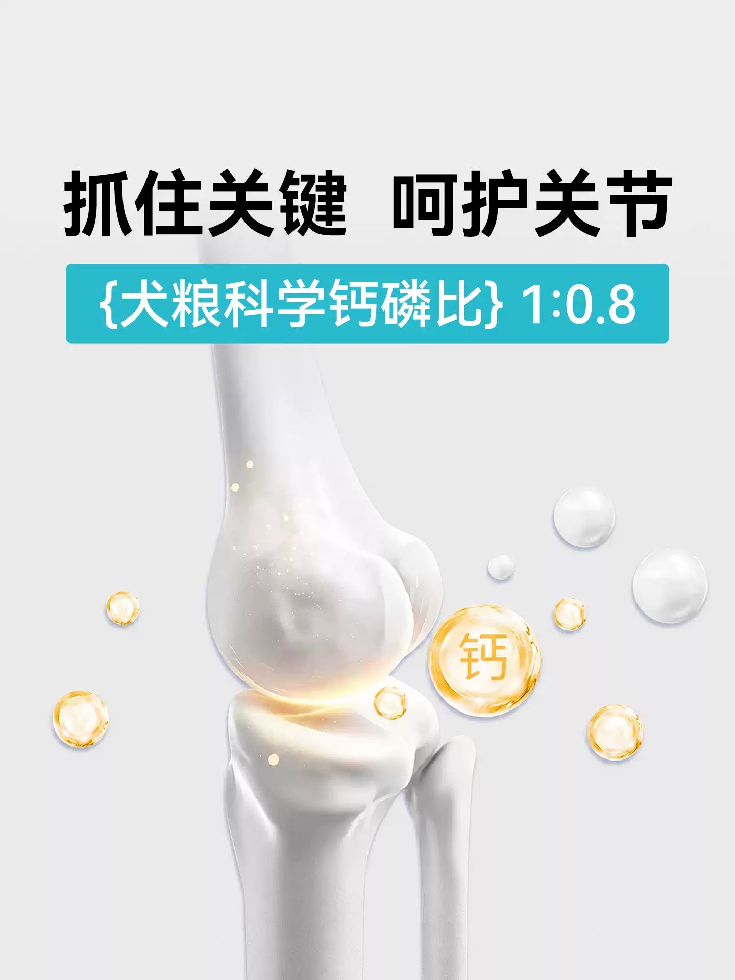 朗仕狗粮40斤装金毛拉布拉多萨摩耶哈士奇中大型犬成犬通用型20kg