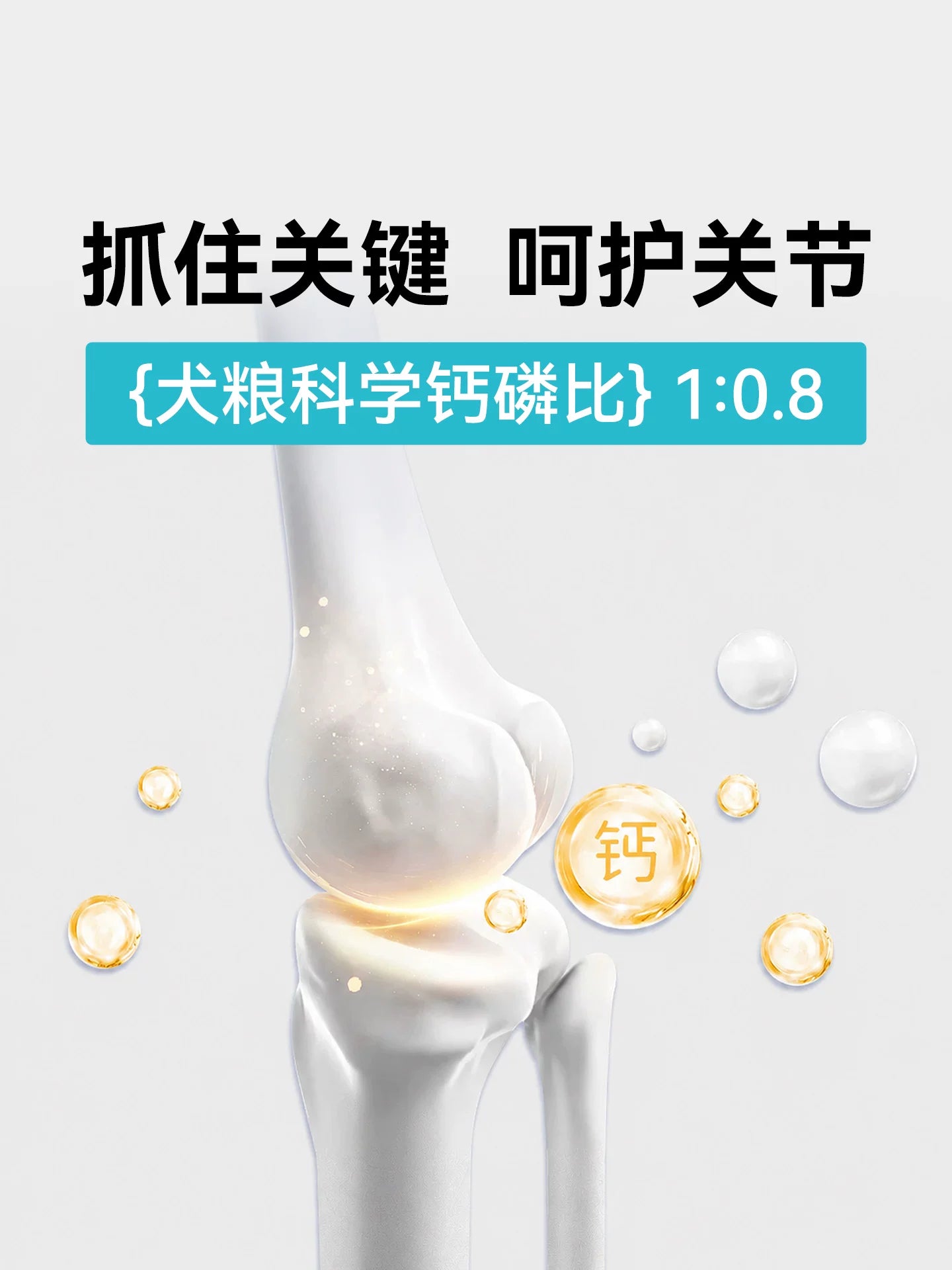 朗仕狗粮40斤装金毛拉布拉多萨摩耶哈士奇中大型犬成犬通用型20kg