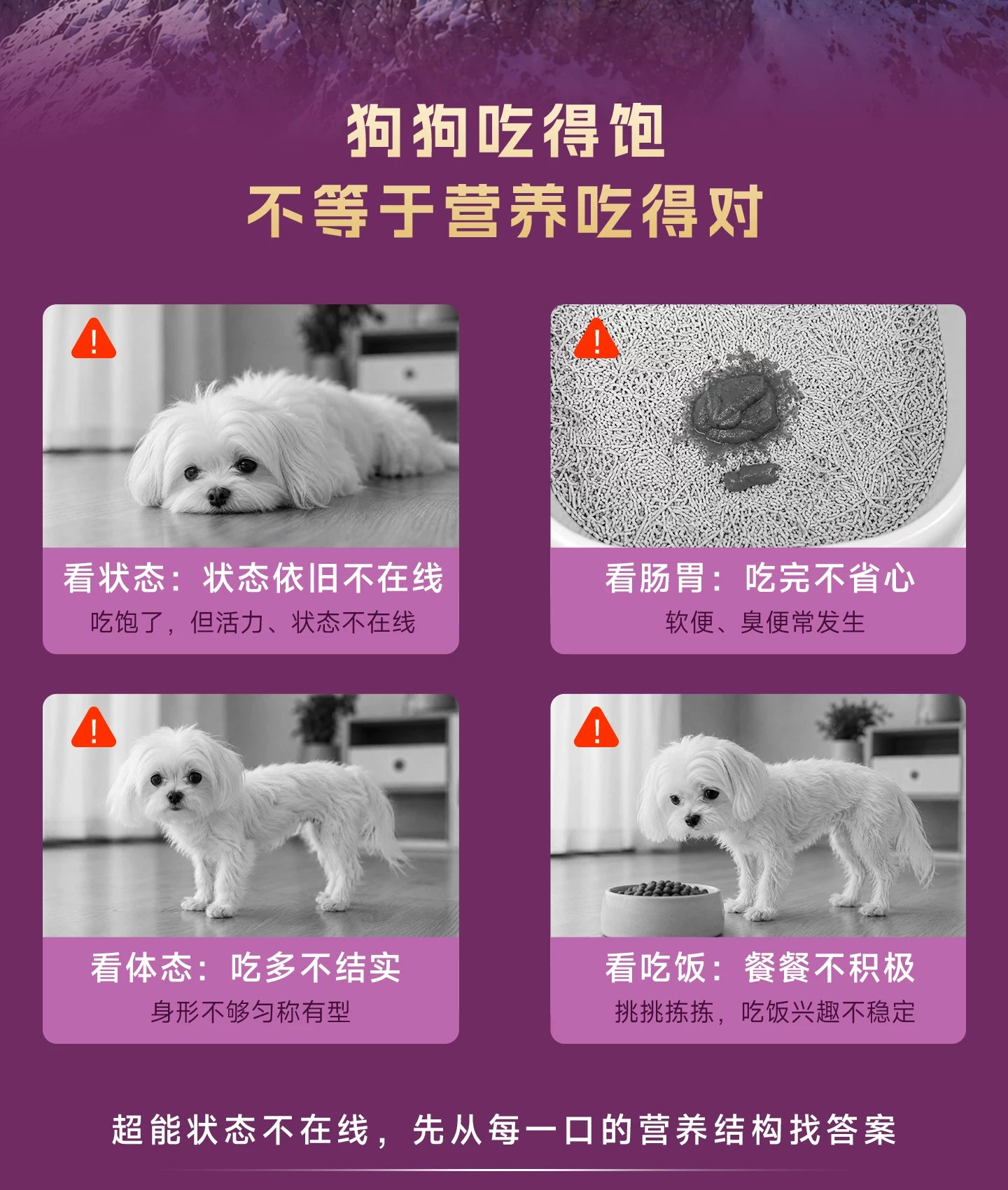 麦富迪狗粮超能餐双拼冻干粮全价全期泰迪金毛通用犬粮官方旗舰店