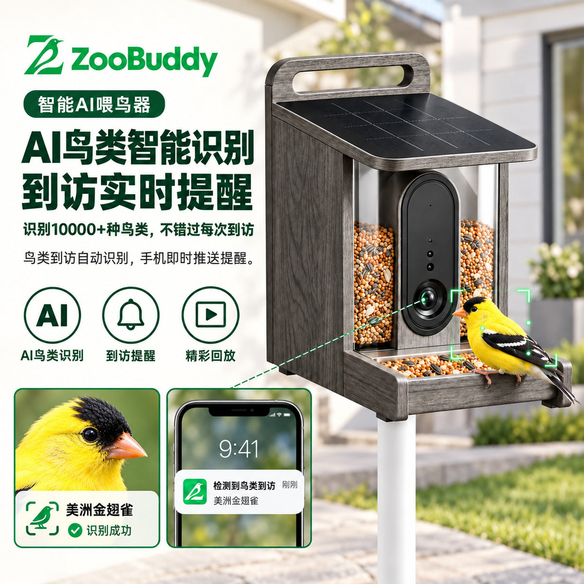 智能喂鸟器摄像头4K超清AI鸟类识别户外远程监护太阳能喂鸟器