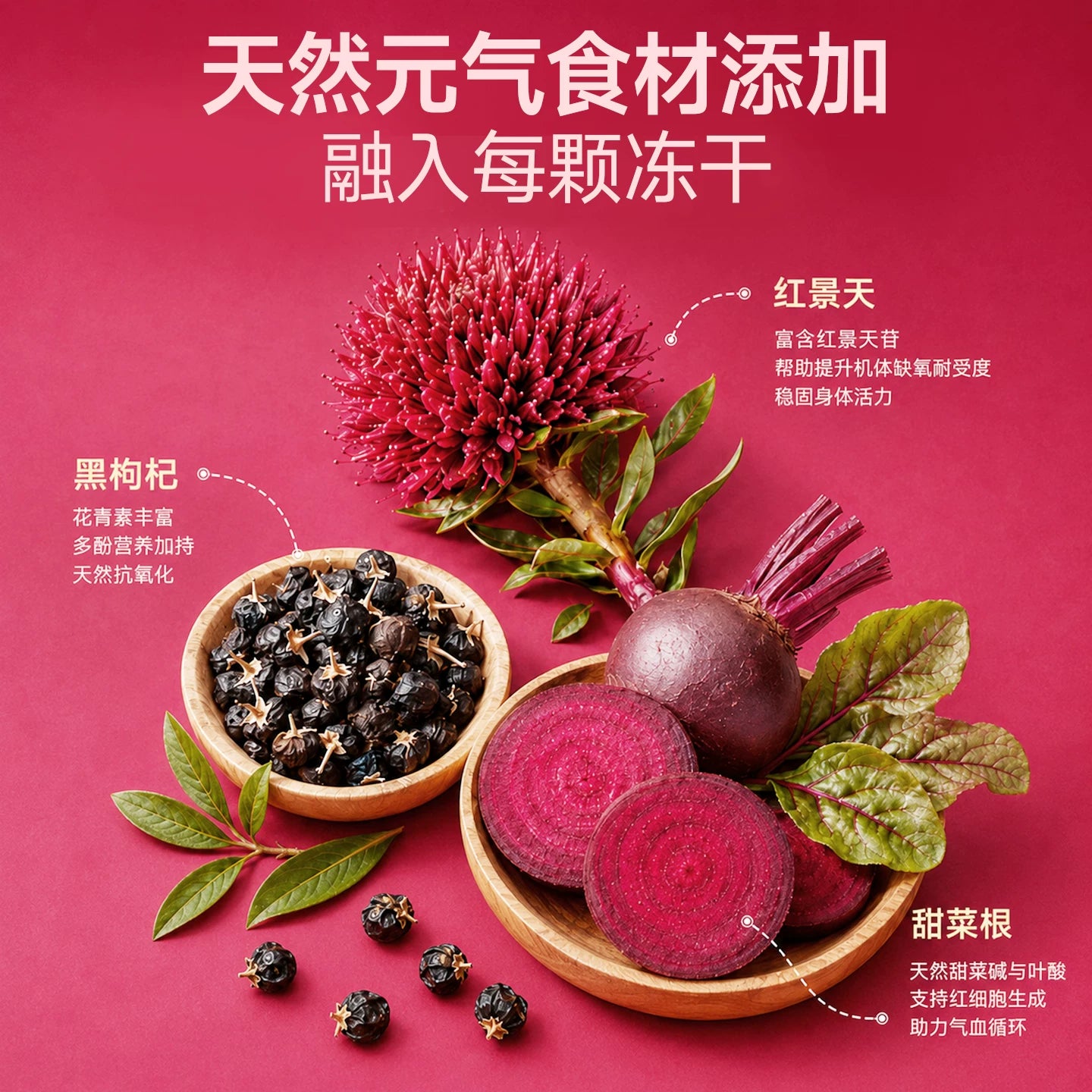 【新品】麦富迪猫零食元气养护主食冻干Fe铁营养补血成幼猫通用