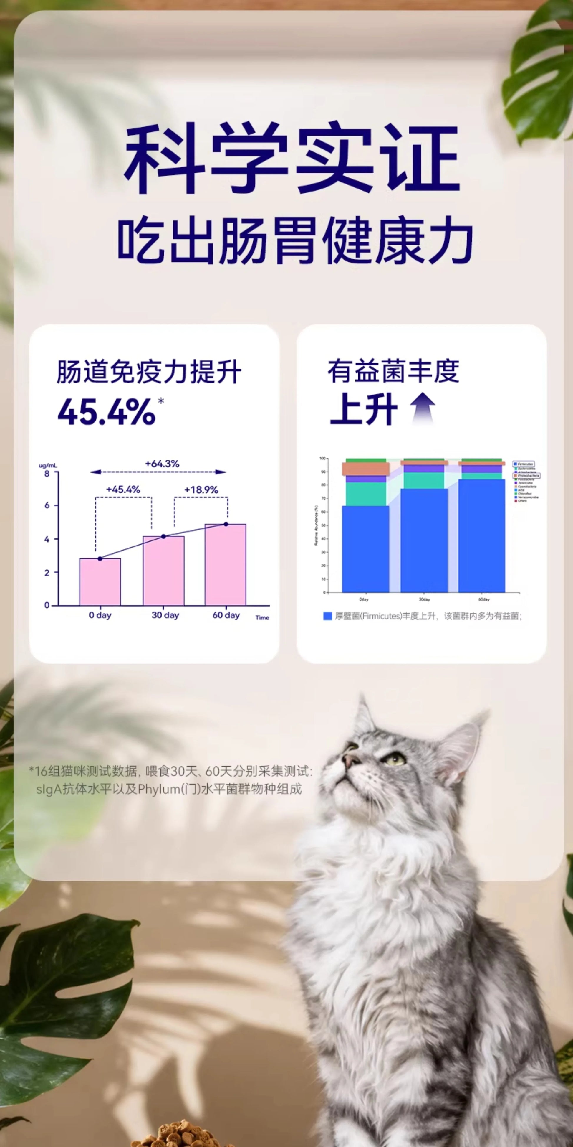 麦富迪barf霸弗烘焙猫粮鸡肉乳鸽成幼猫全阶段通用猫粮官方旗舰店