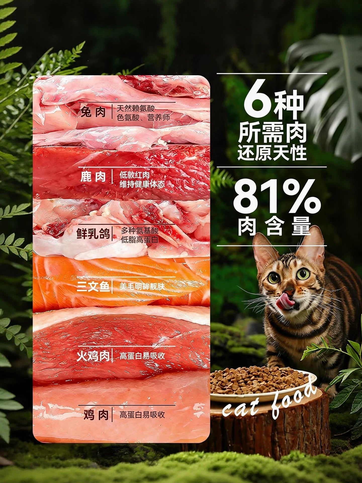 朗仕烘焙猫粮鲜肉无谷全价营养鲜乳鸽火鸡肉幼猫成猫粮通用试吃装