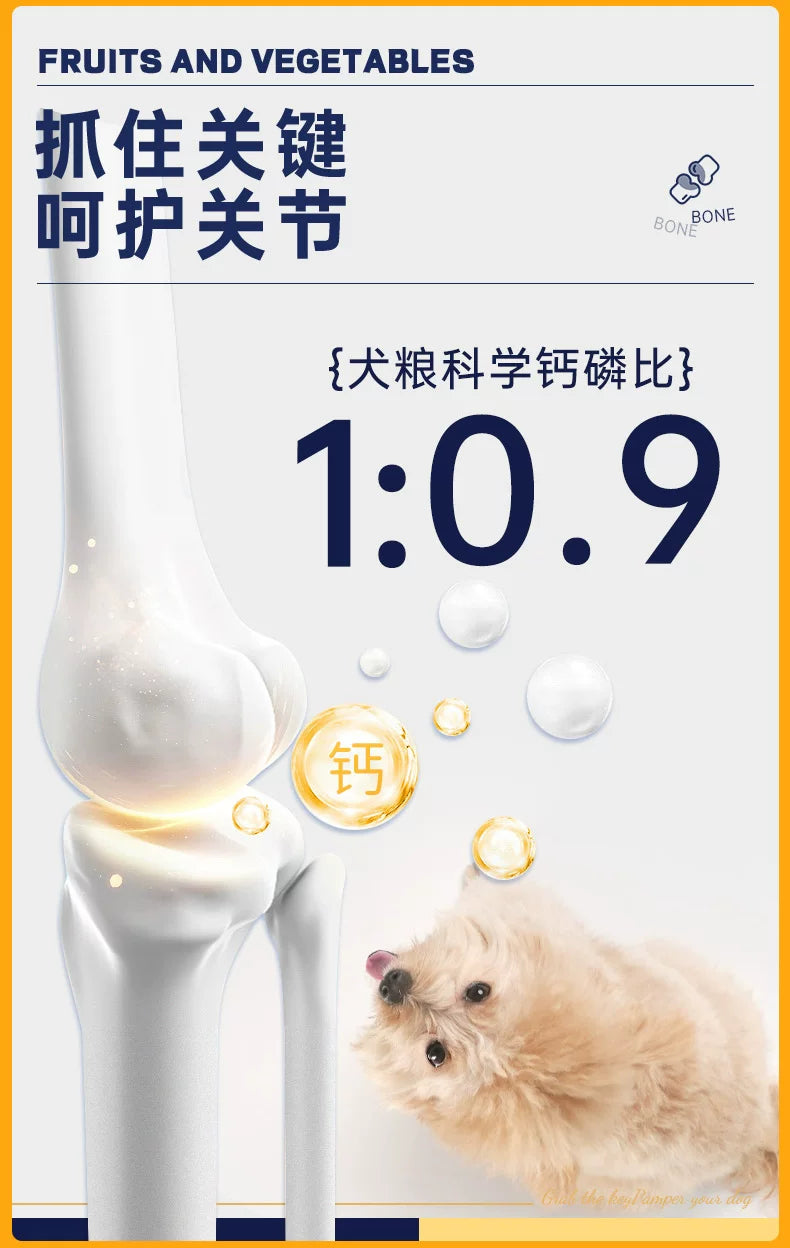 朗仕狗粮冻干成犬幼犬通用型小型犬成犬专用粮