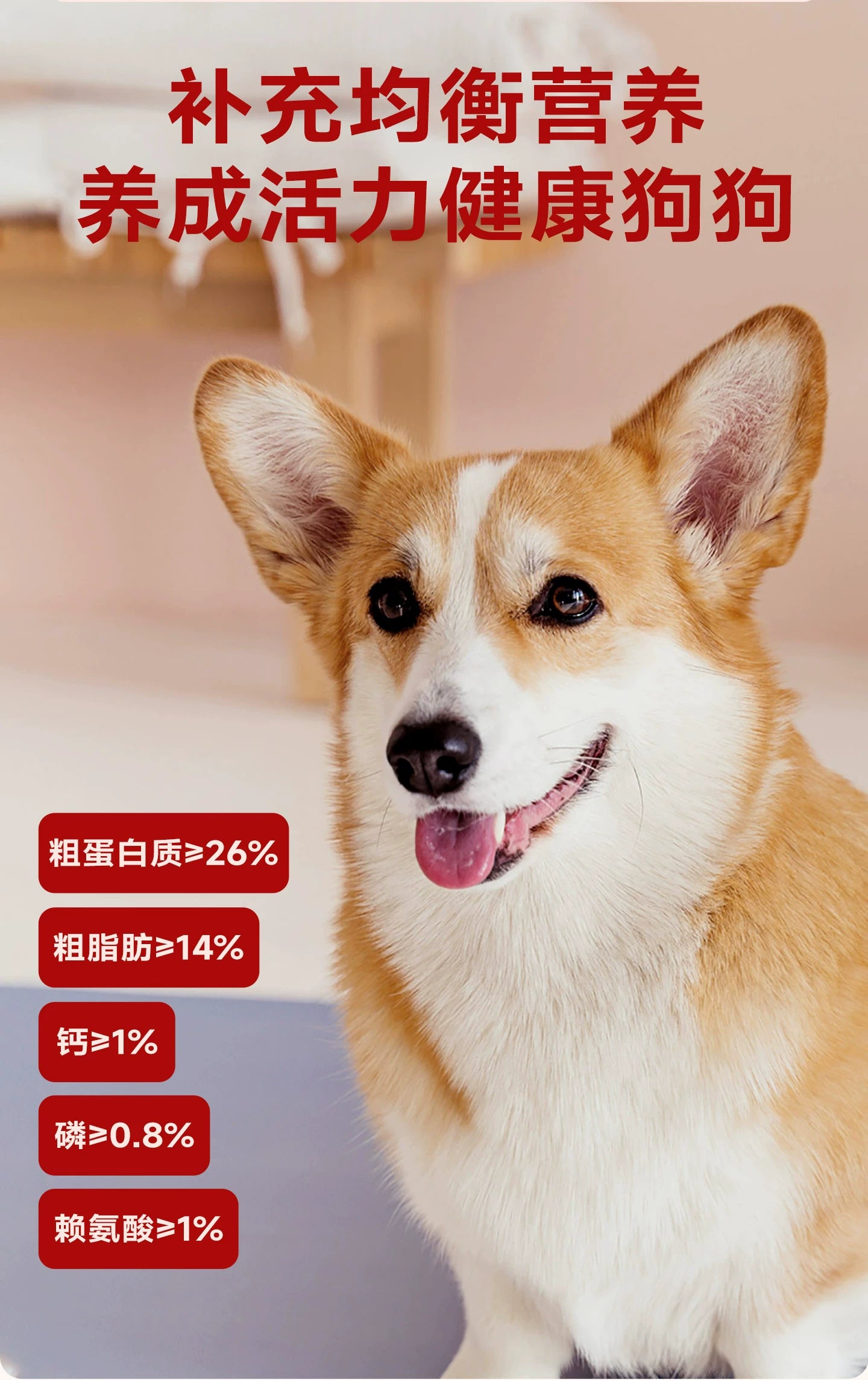 麦富迪狗粮全价鲜肉夹心泰迪小型幼犬成犬通用型全期双拼狗粮2kg