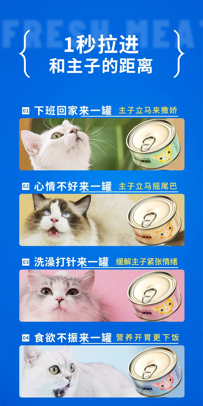 朗仕猫罐头猫咪零食湿粮营养英短美短成幼小猫猫零食罐170g*12罐