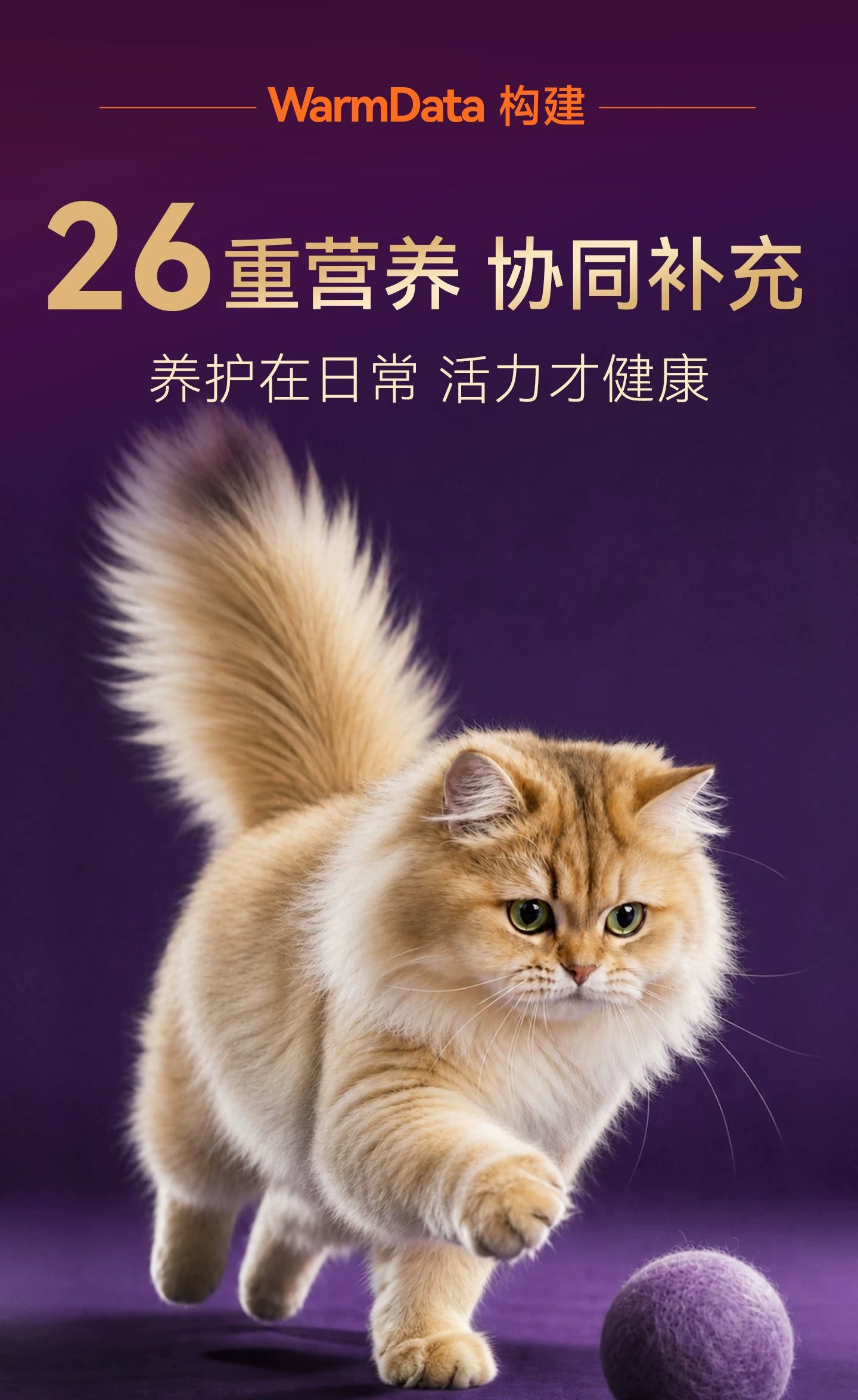 【新品首发】麦富迪小橙帽猫咪多维犬用复合维生素冻干营养补充