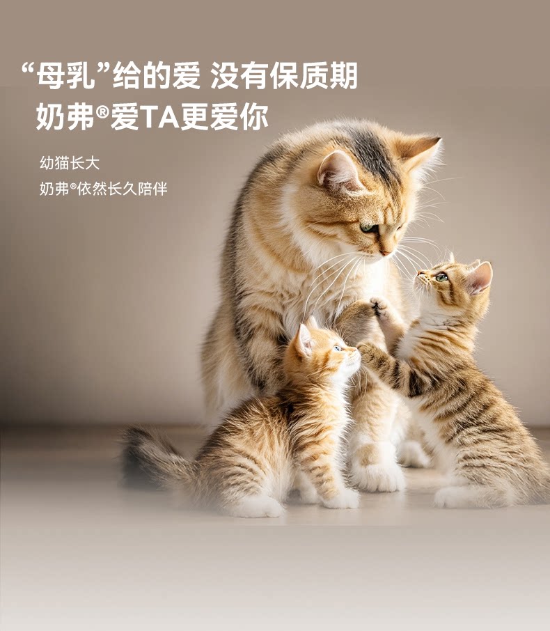【幼猫专用】麦富迪奶弗奶糕天然粮羊奶鲜肉离乳期全价幼猫粮布偶