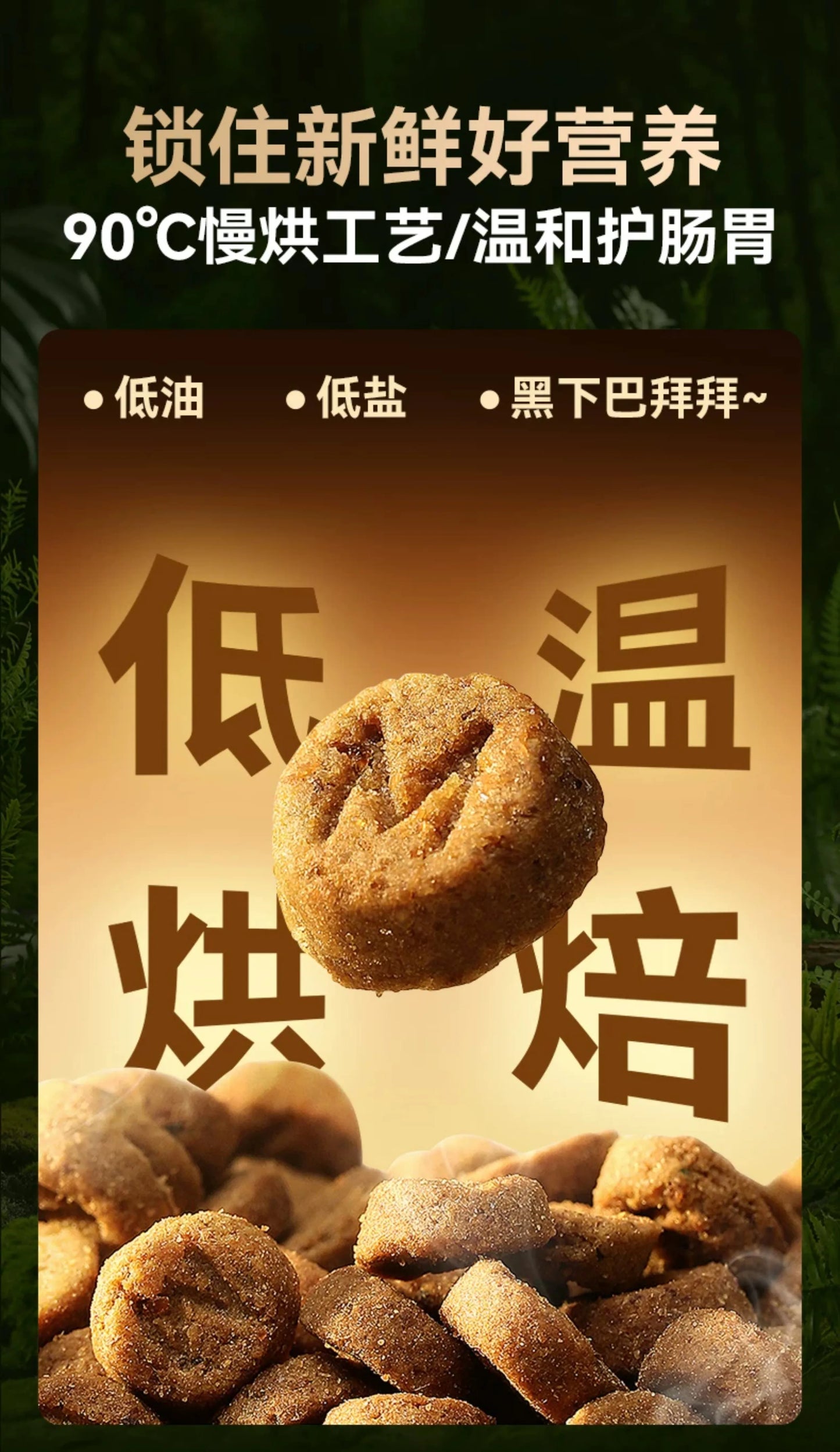 朗仕低温烘焙猫粮成幼猫粮试吃鲜肉烘培冻干布偶猫咪专用全价无谷