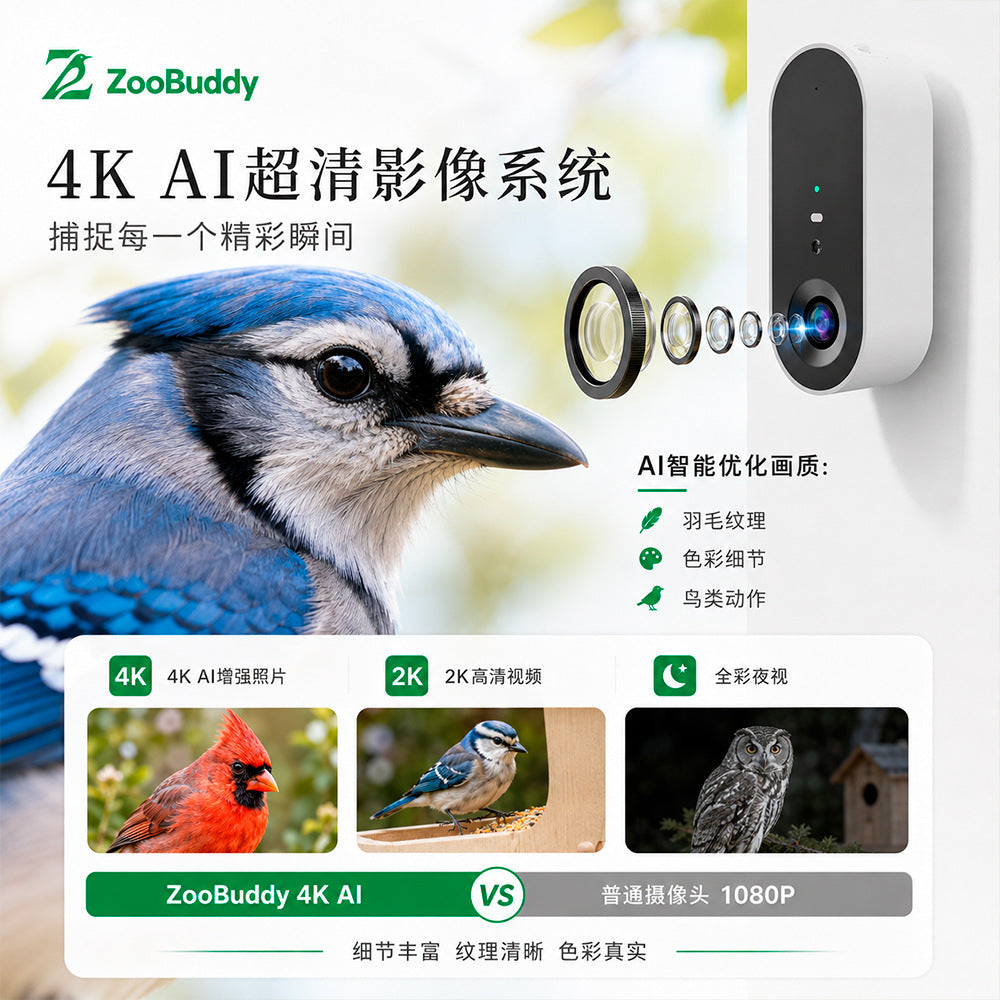 智能AI喂鸟器4K超清摄像超广角AI识别万种鸟类太能阳庭院观鸟设备