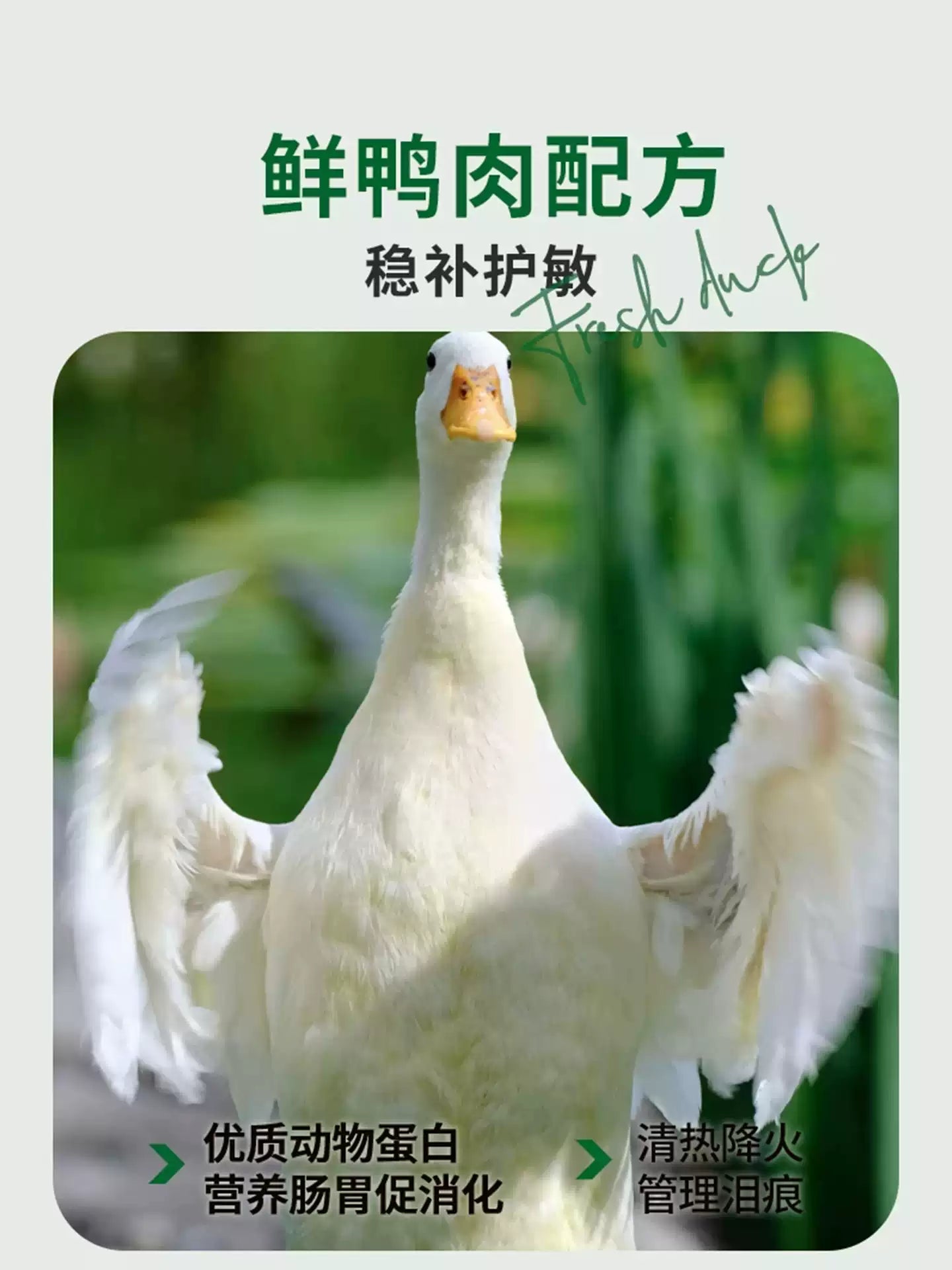 朗仕狗粮40斤装金毛拉布拉多萨摩耶哈士奇中大型犬成犬通用型20kg