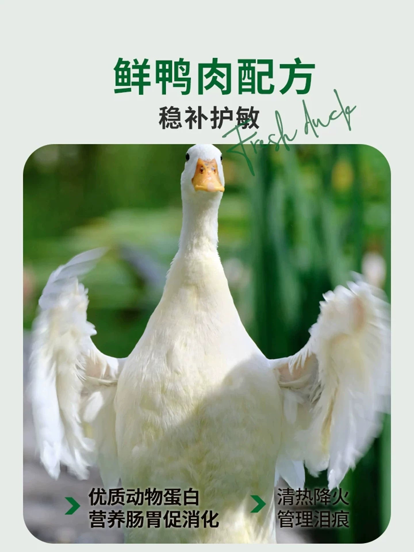 朗仕狗粮40斤装金毛拉布拉多萨摩耶哈士奇中大型犬成犬通用型20kg
