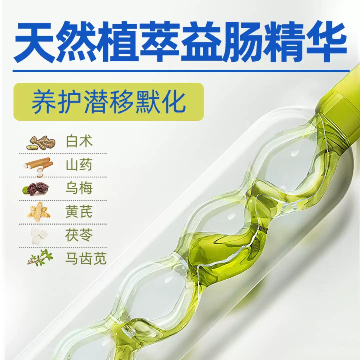 麦富迪狗狗组方型益生菌宠物营养品补充剂肠胃保健泰迪金毛比熊