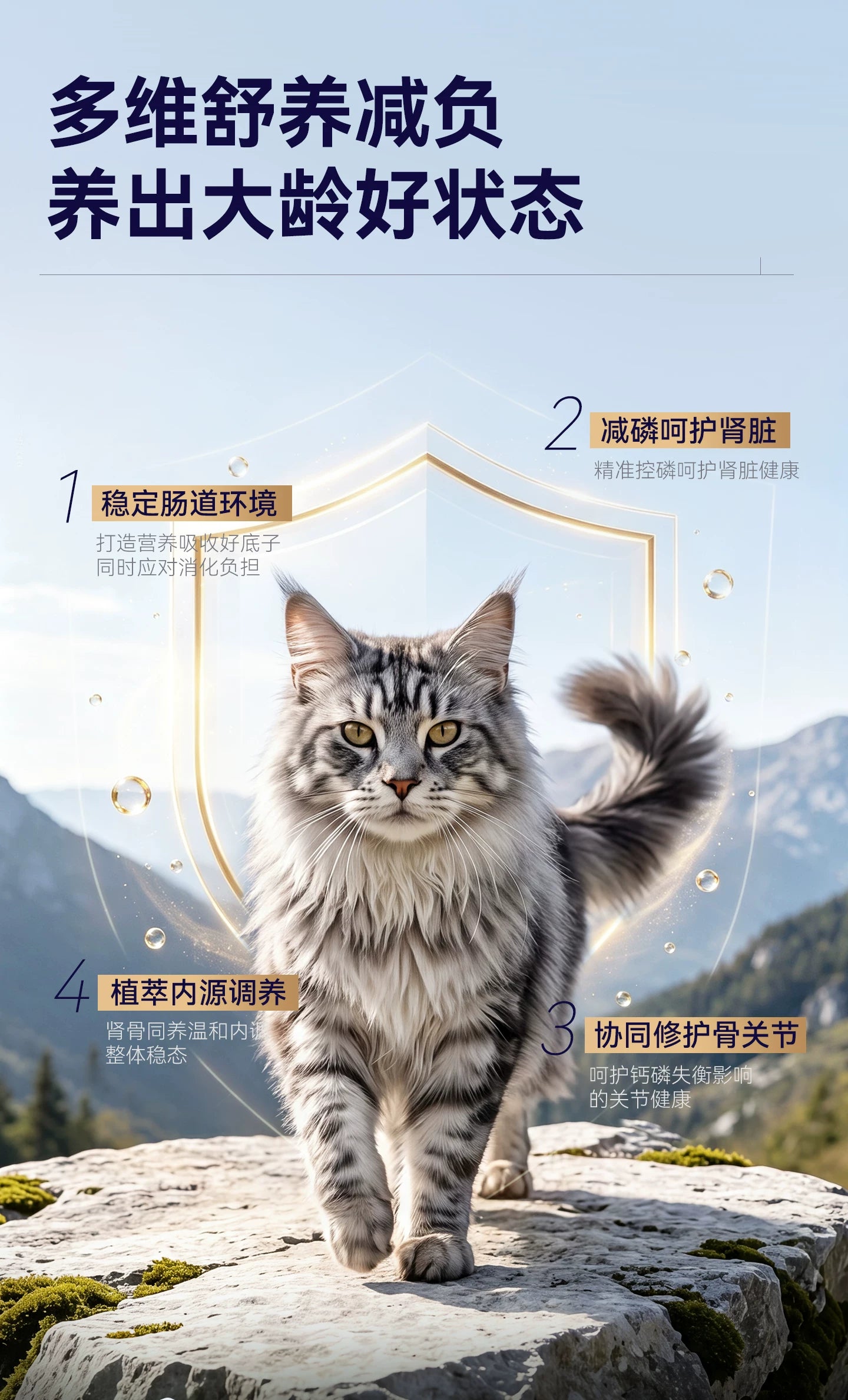 【新品】麦富迪barf霸弗猫粮7岁以上老年猫咪专用生骨肉营养猫粮
