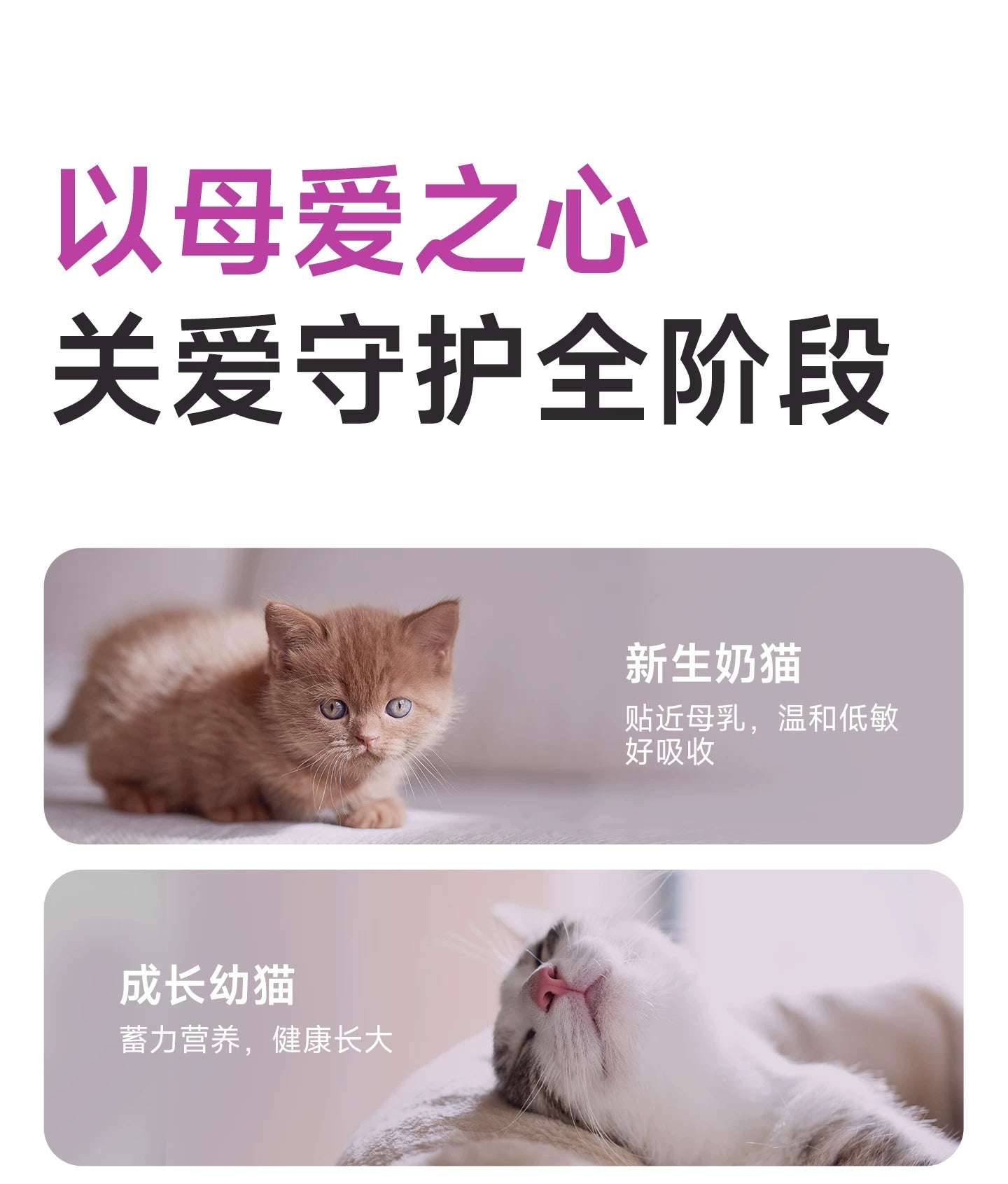 麦富迪猫咪羊奶粉猫猫专用幼猫成猫宠物怀孕营养品补钙营养保健品