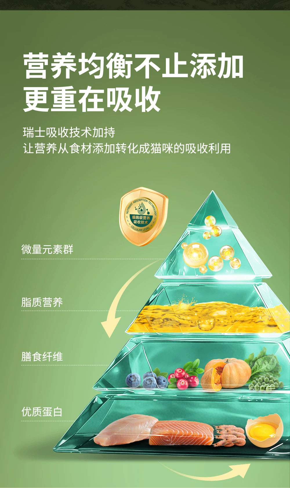 麦富迪营养森林猫粮成猫幼猫三文鱼鲜鸡肉冻干通用正品猫粮2kg