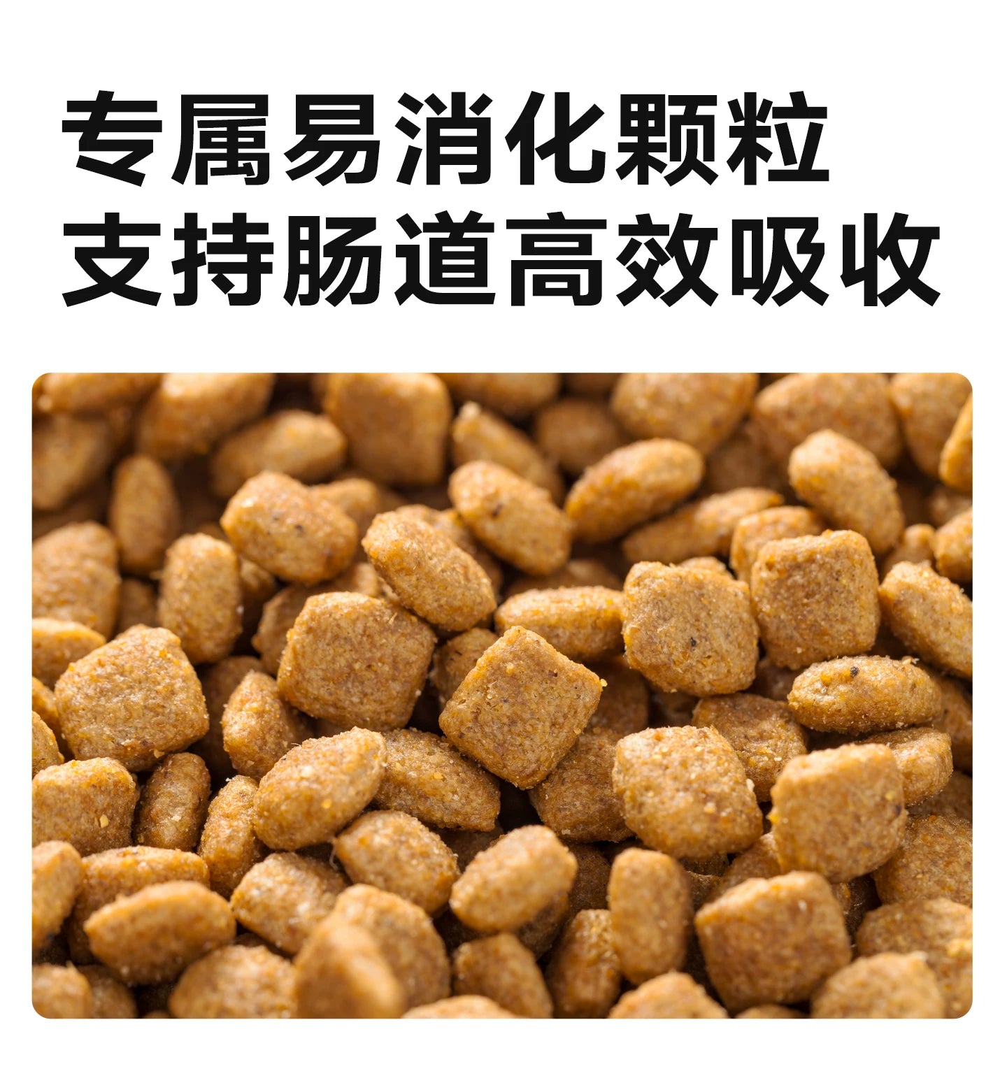 麦富迪狗粮牛肉蓝莓双拼泰迪金毛成犬幼犬粮小型犬官方旗舰店正品